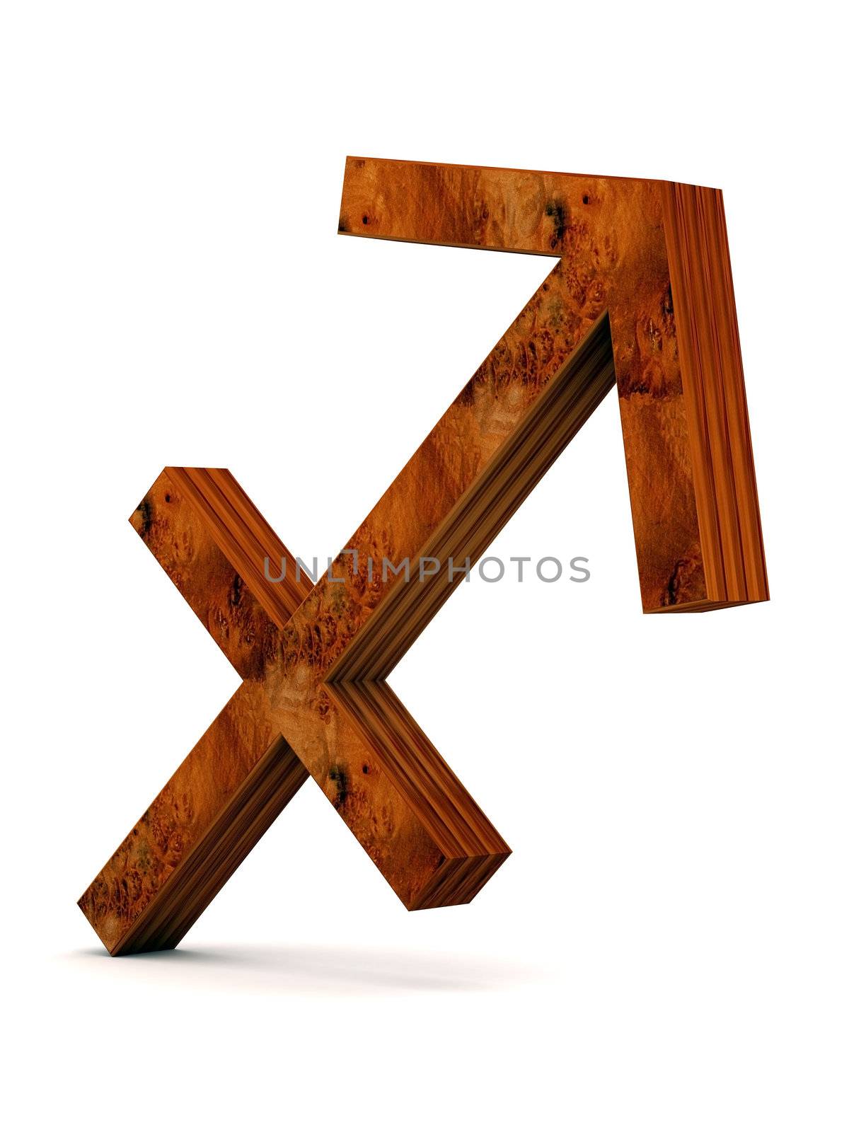 wooden picture zodiac sign on white background