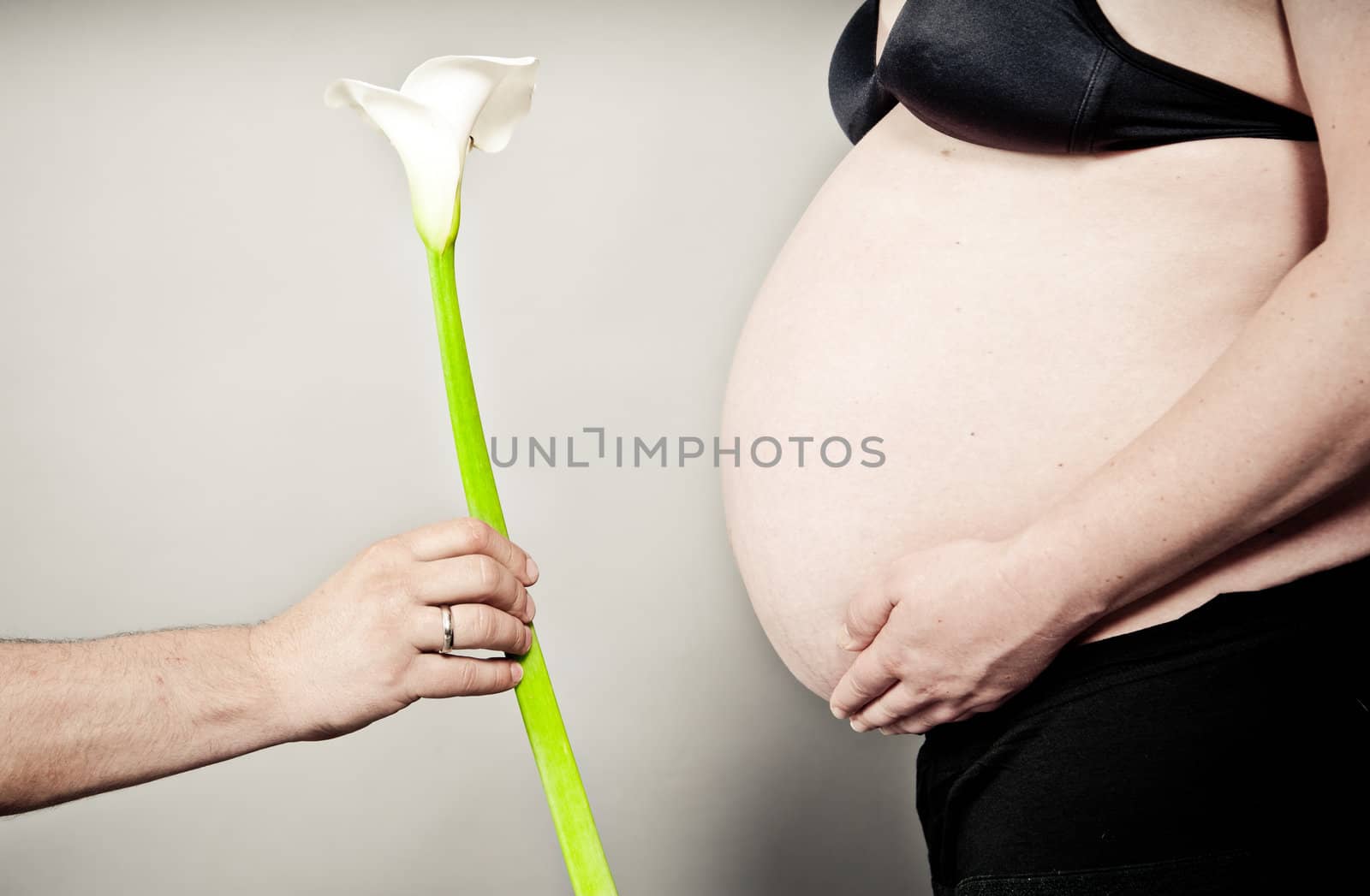 Man gives Calla Lily to his pregnant Woman