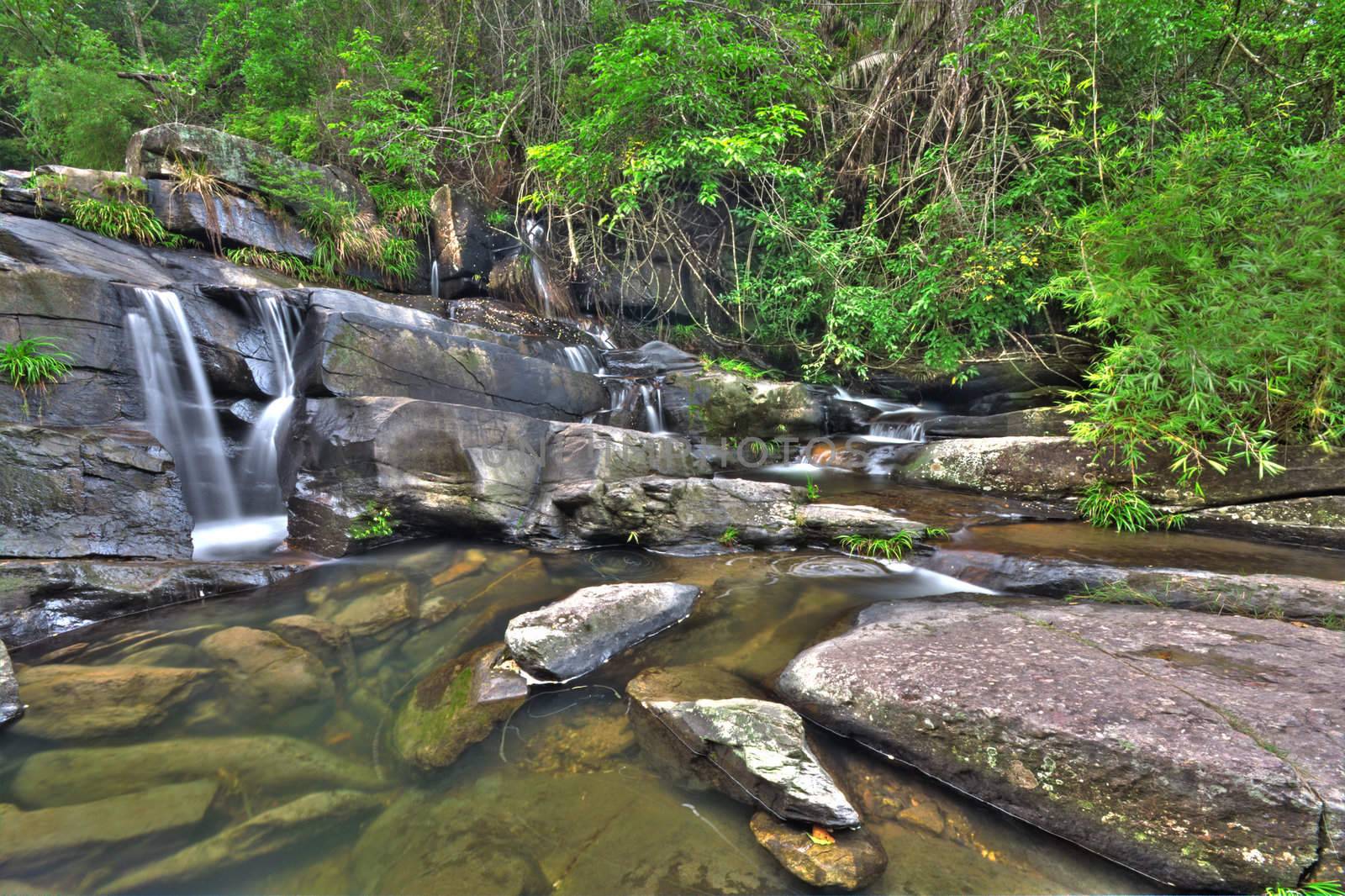 cascade of water through forest