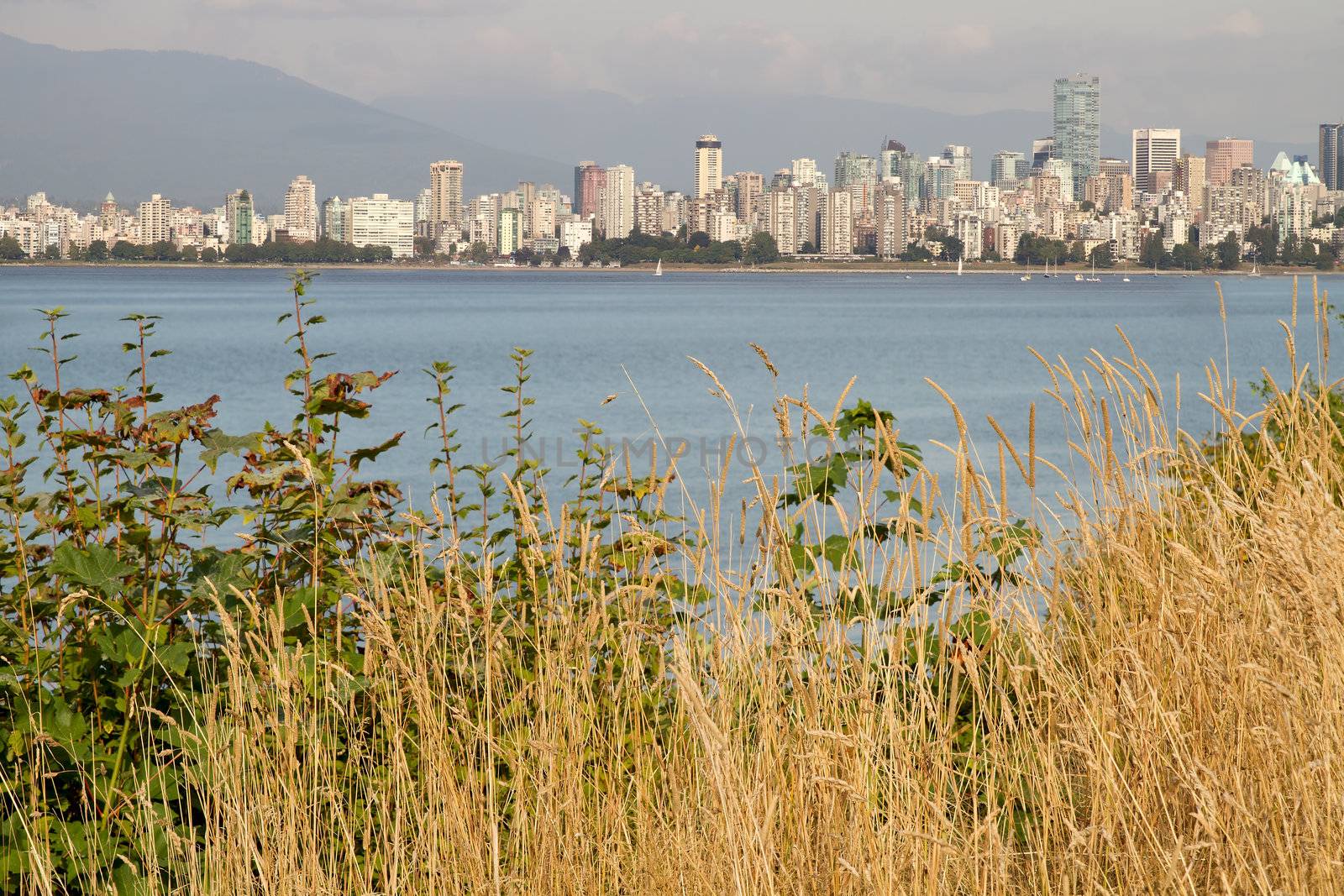 Vancouver BC Canada Downtown City Skyline from Hasting Mills Park