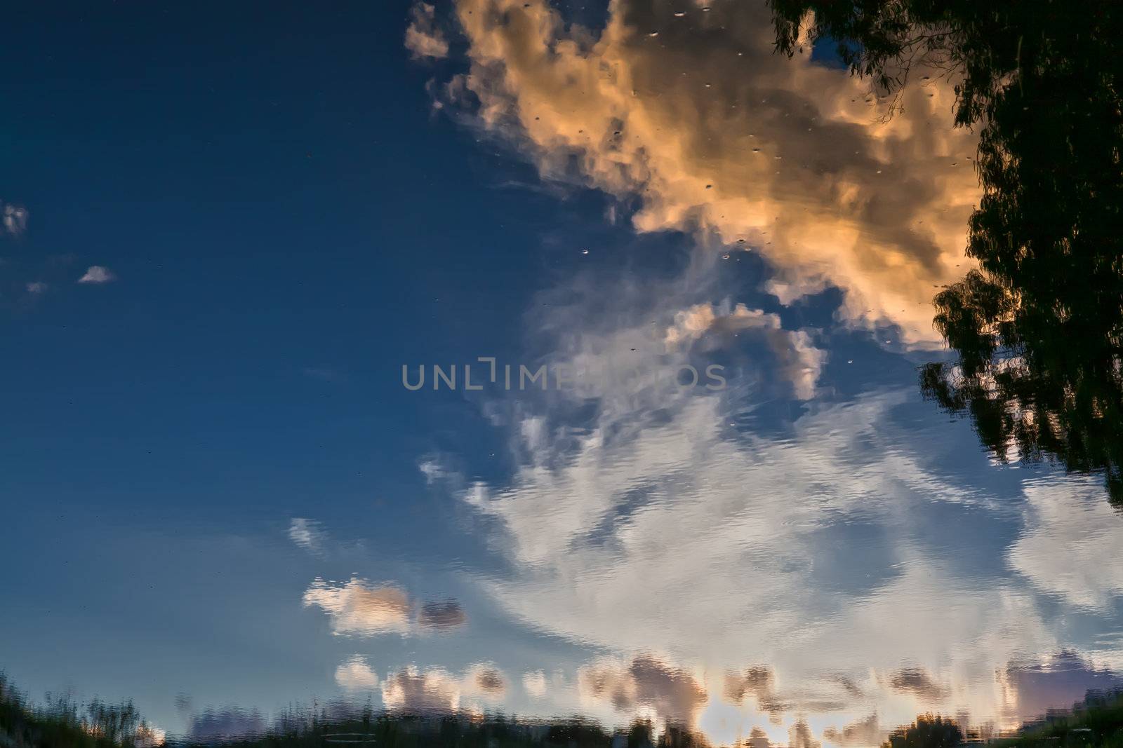 Sky and cloud reflected in calm water