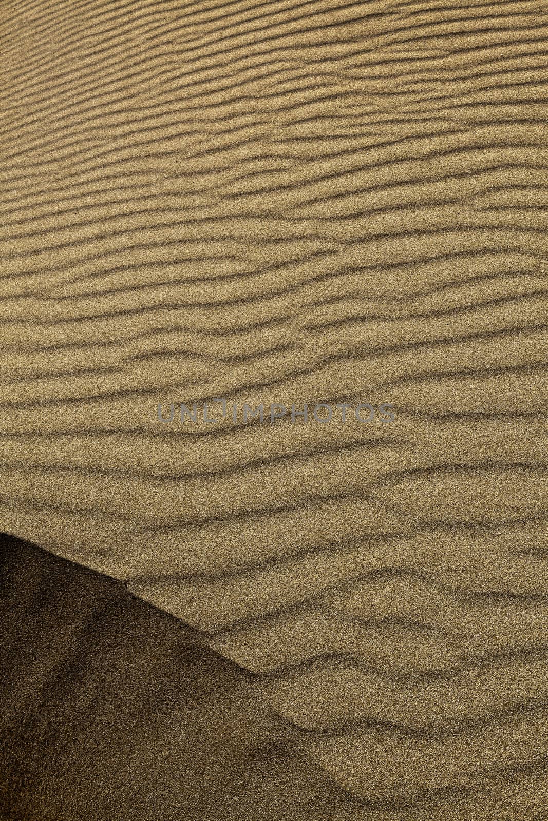 Abstract image showing light and shadow areas in sand dune detail