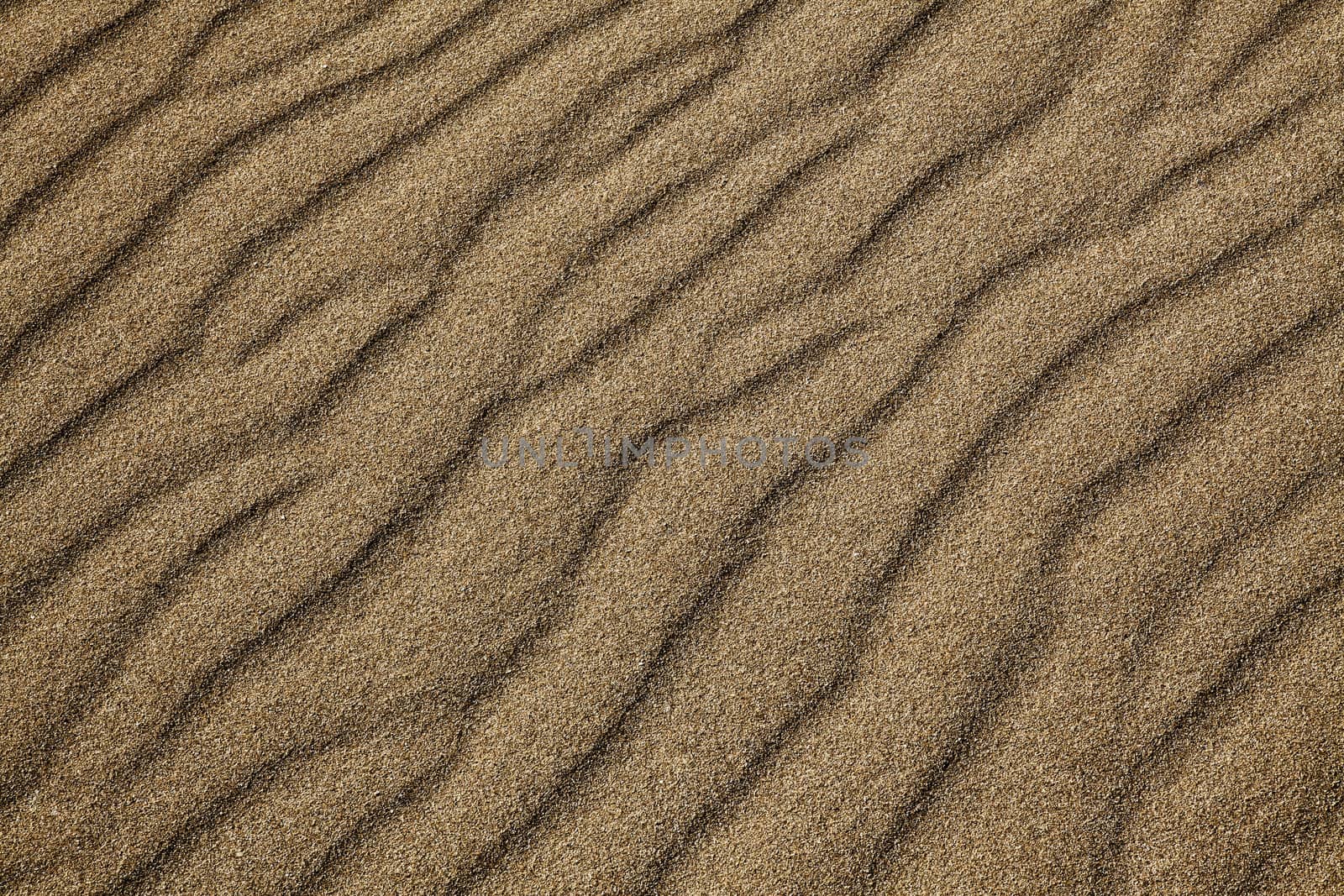 Abstract image showing light and shadow areas in sand dune detail