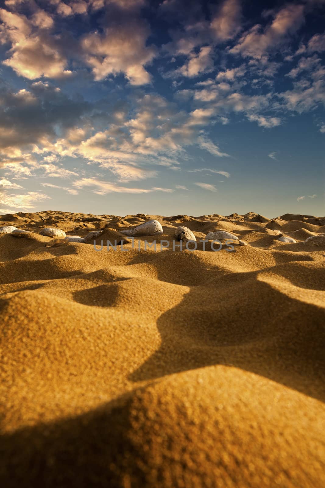 Desert sand dunes and beautiful evening sky