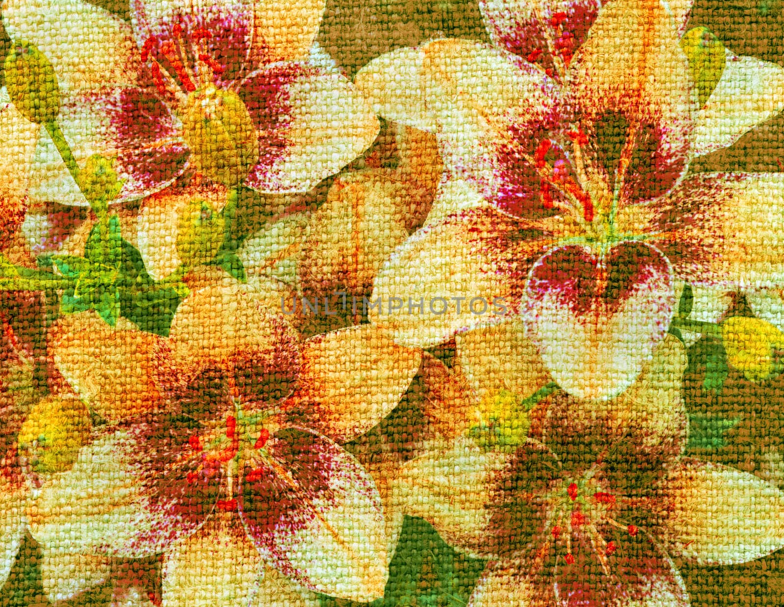 Lily flowers on a canvas by alexcoolok