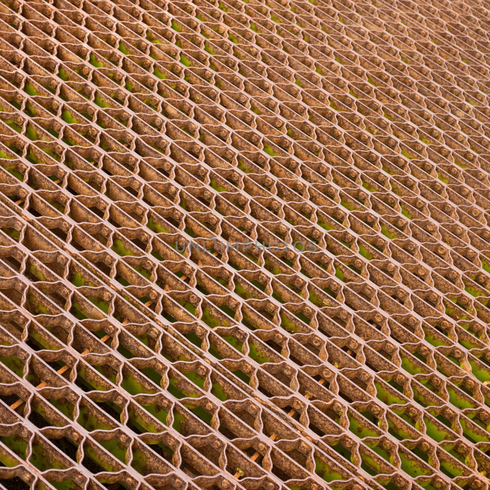 steel grid by PiLens