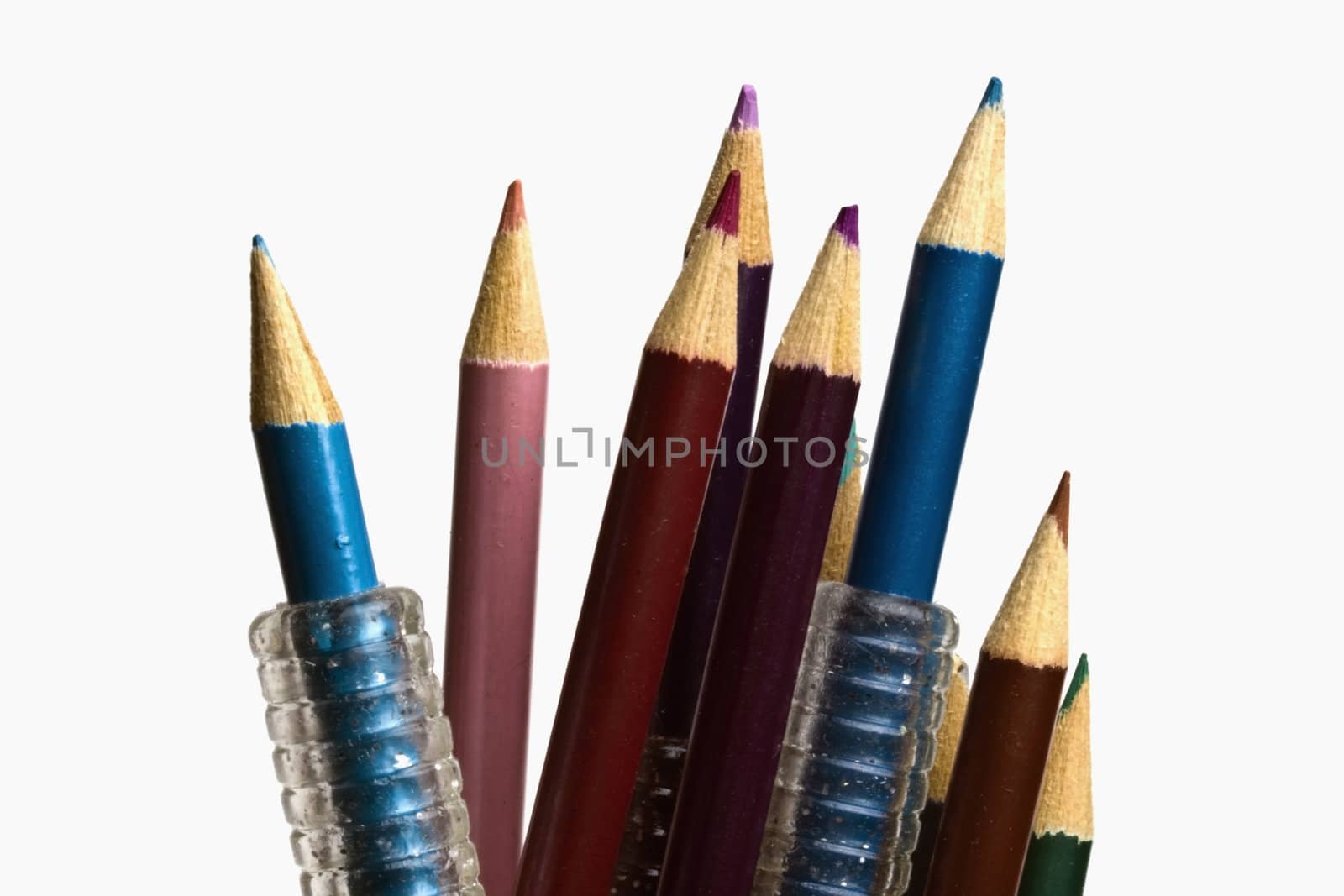 colorful pencils on focus isolated on white