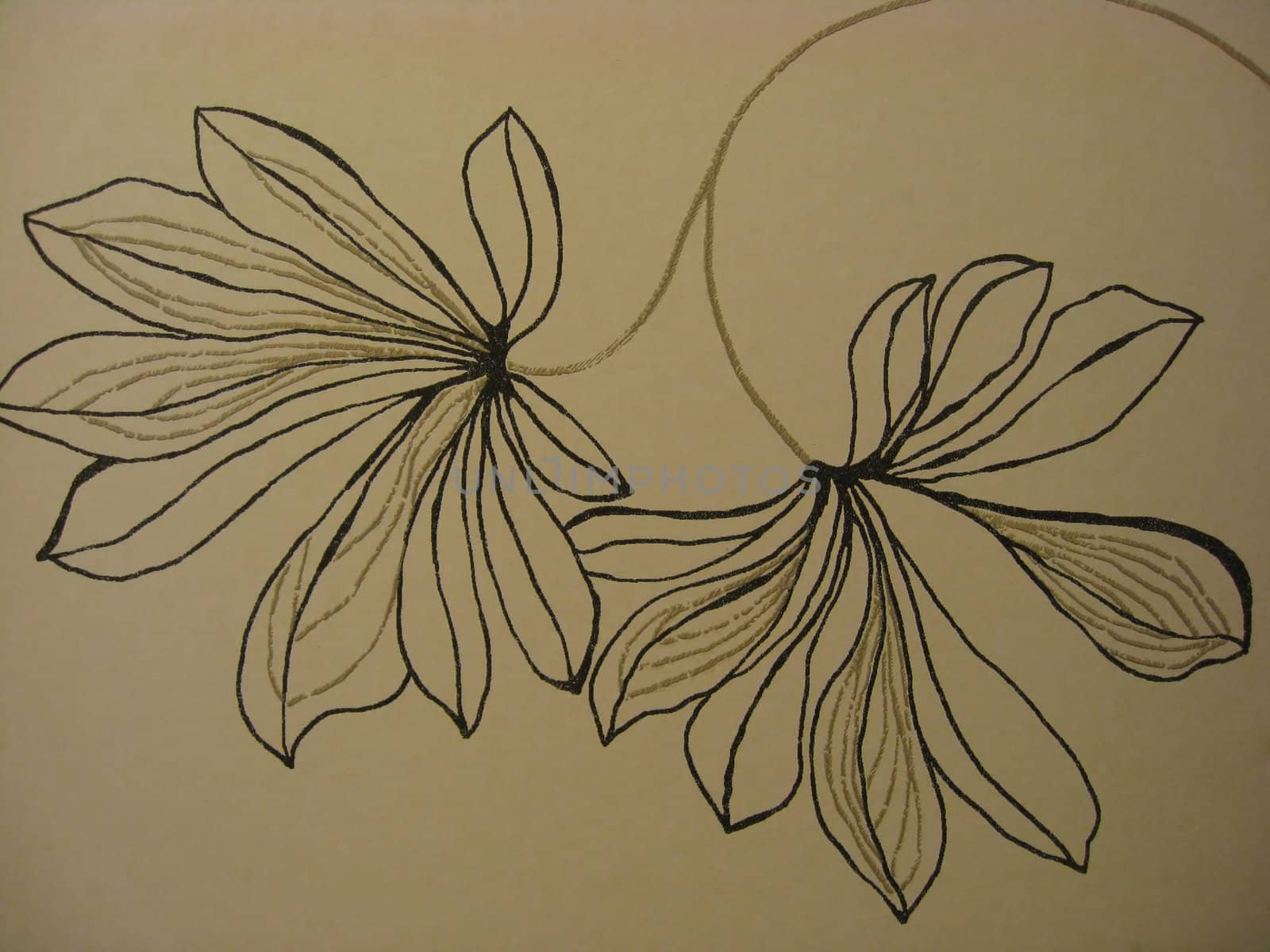 Wallpaper patterns with beautiful flowers