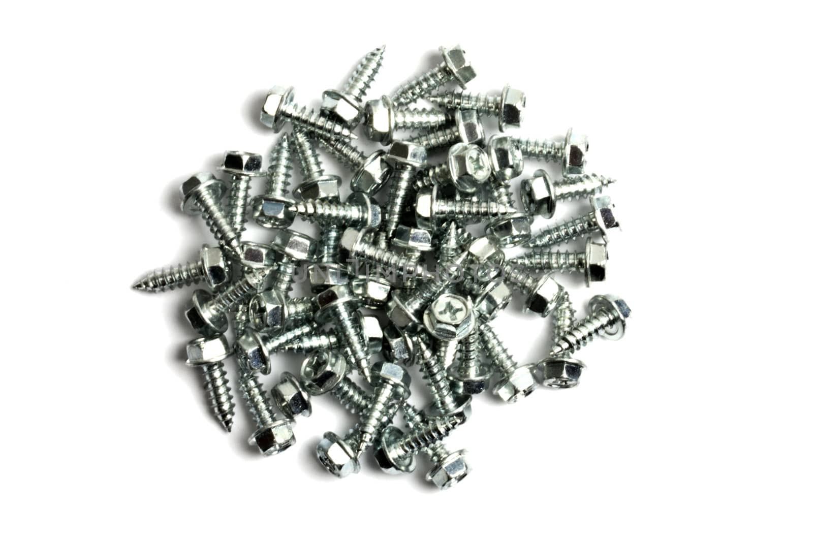 Heap of short screws isolated on white background