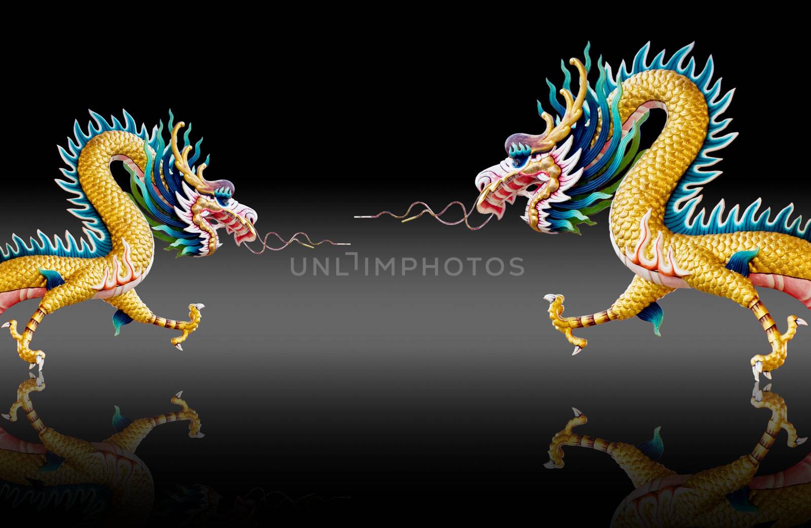 Dragons fly with glaze black background , New year greeting card background