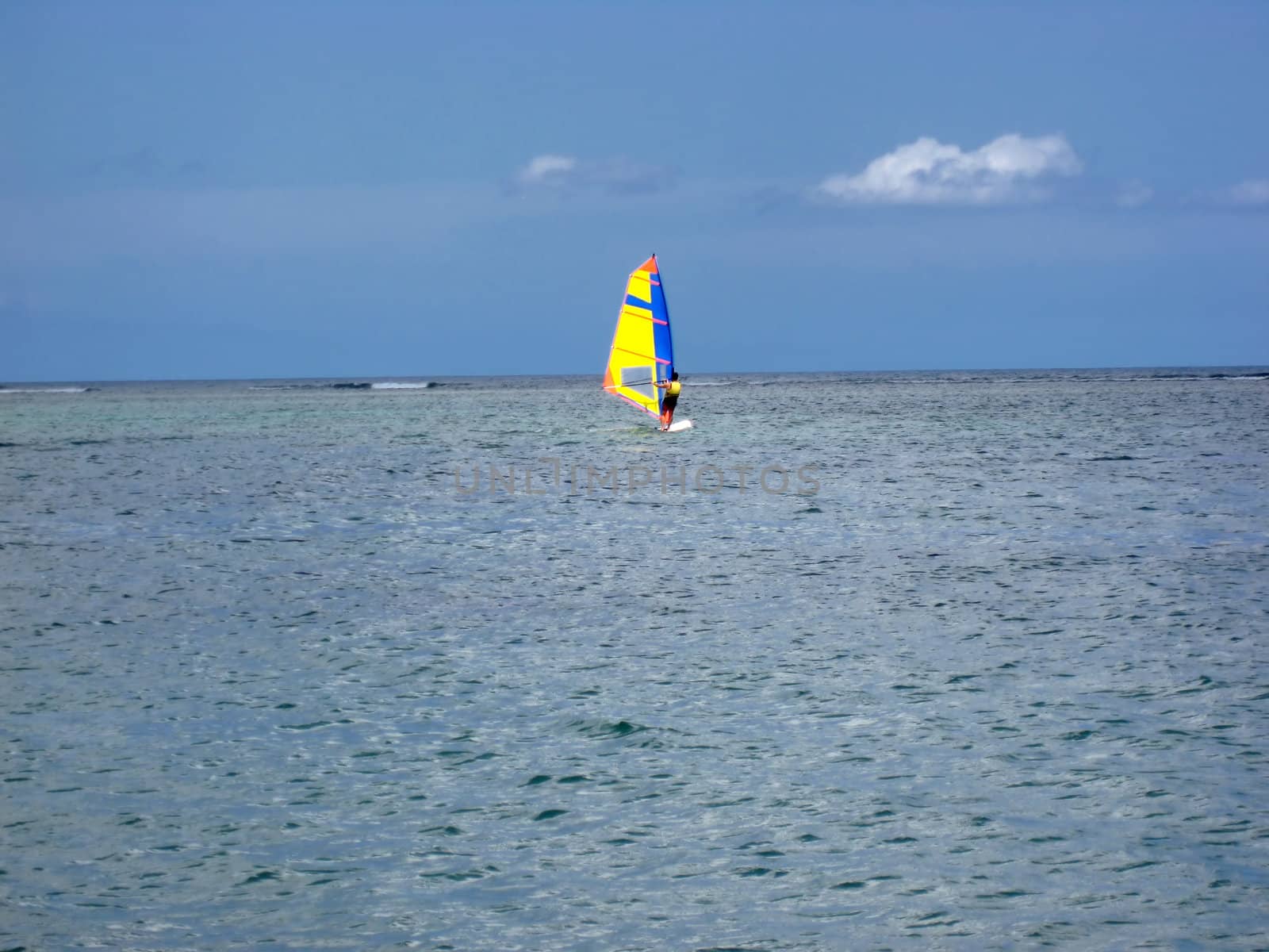 Windsurfing in calm ocean of Mauritius