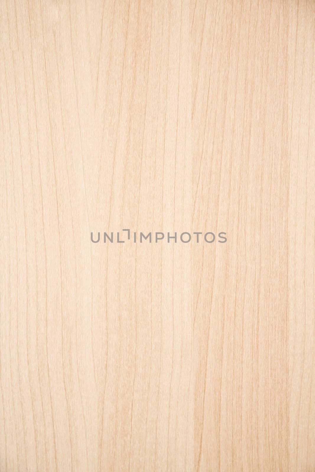 Texture of wood background closeup