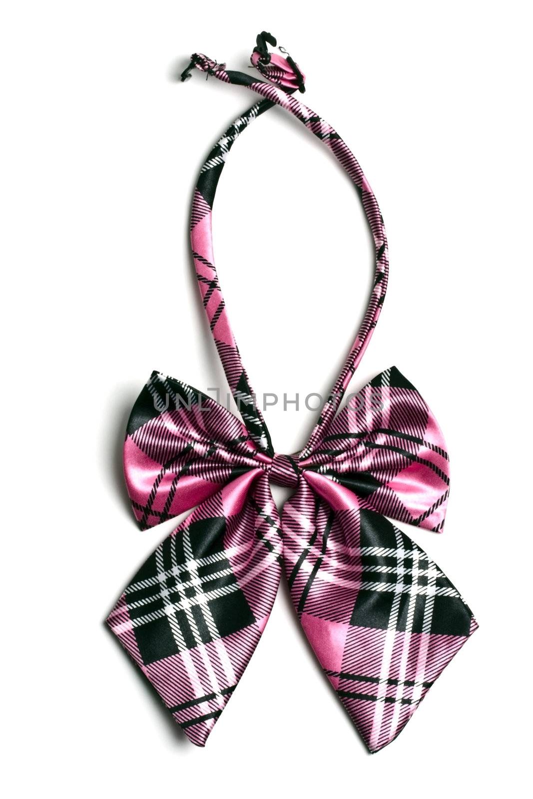 Pretty and fashion bow tie isolated on white