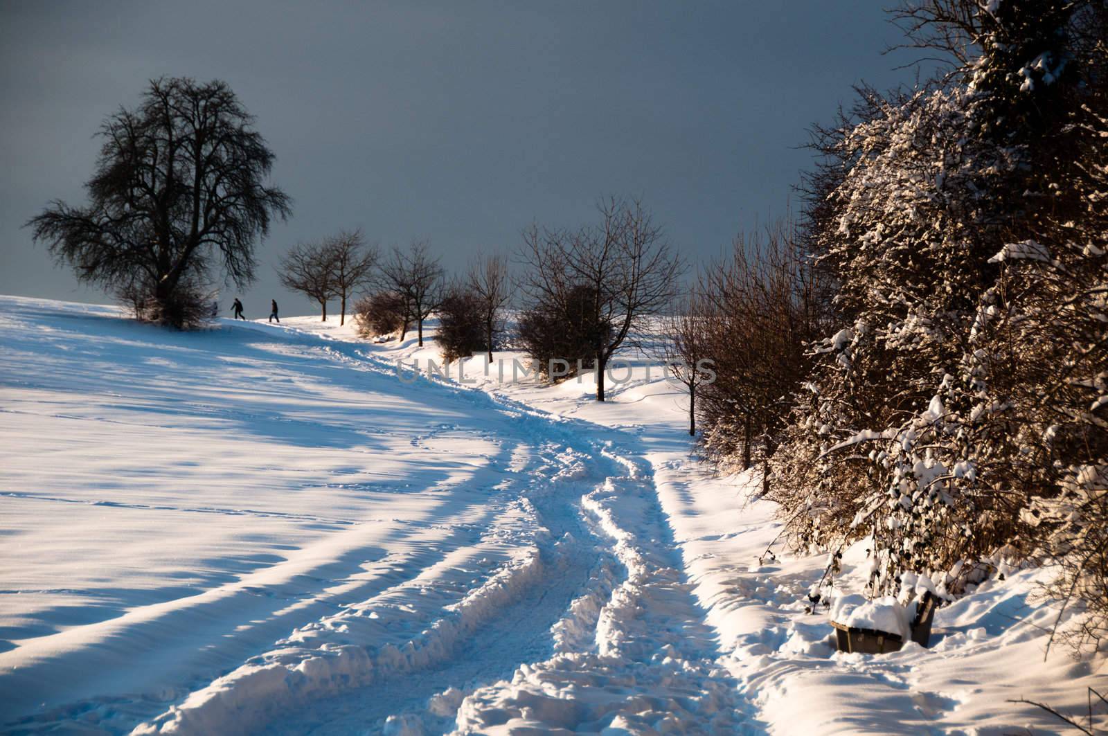 Group of young people walking in fresh powder snow