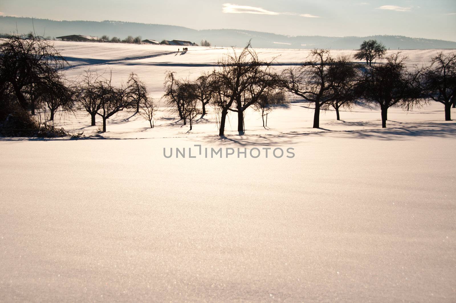 Group of young people walkong in fresh powder snow