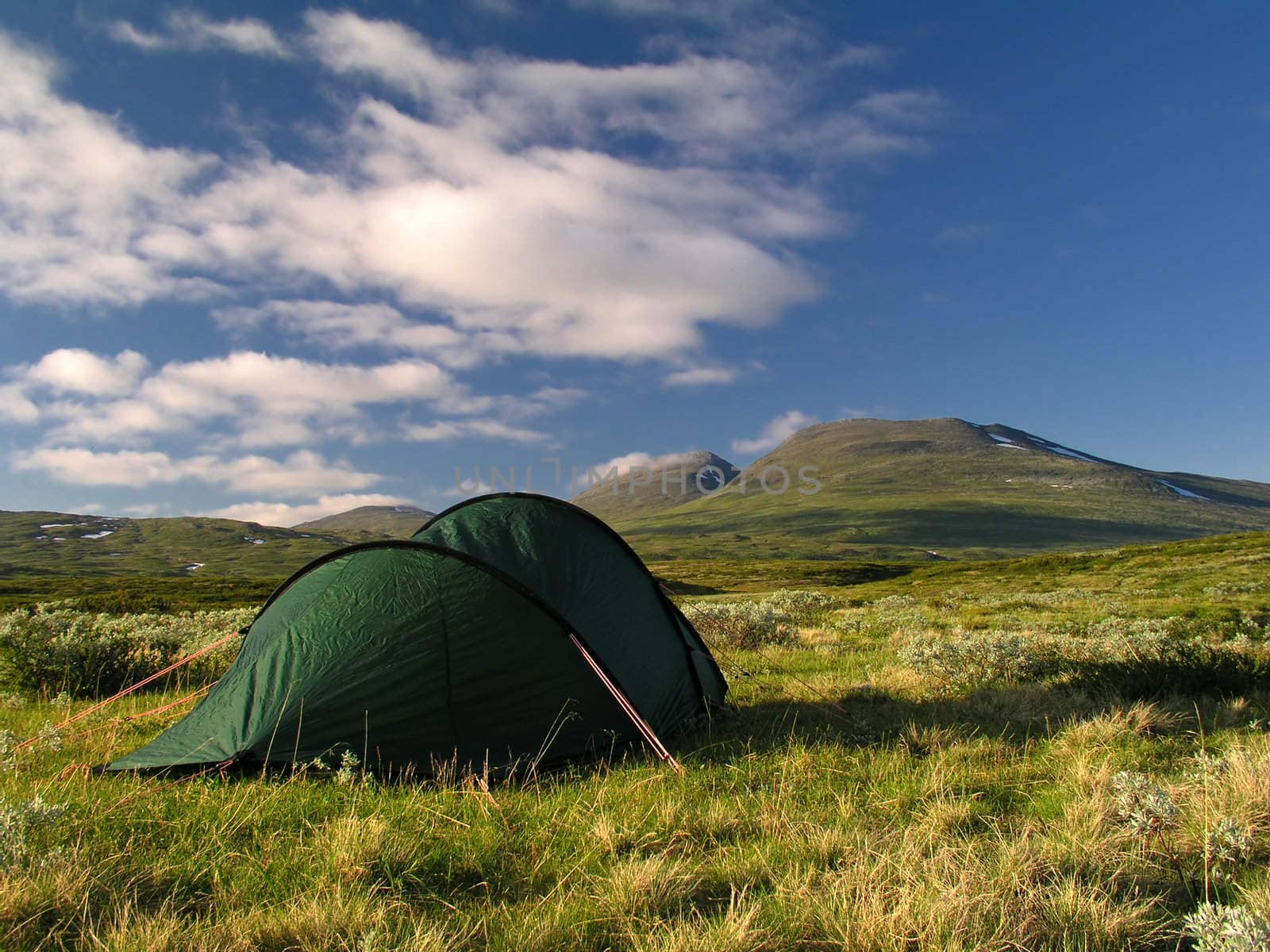 Camping in the Mountains 