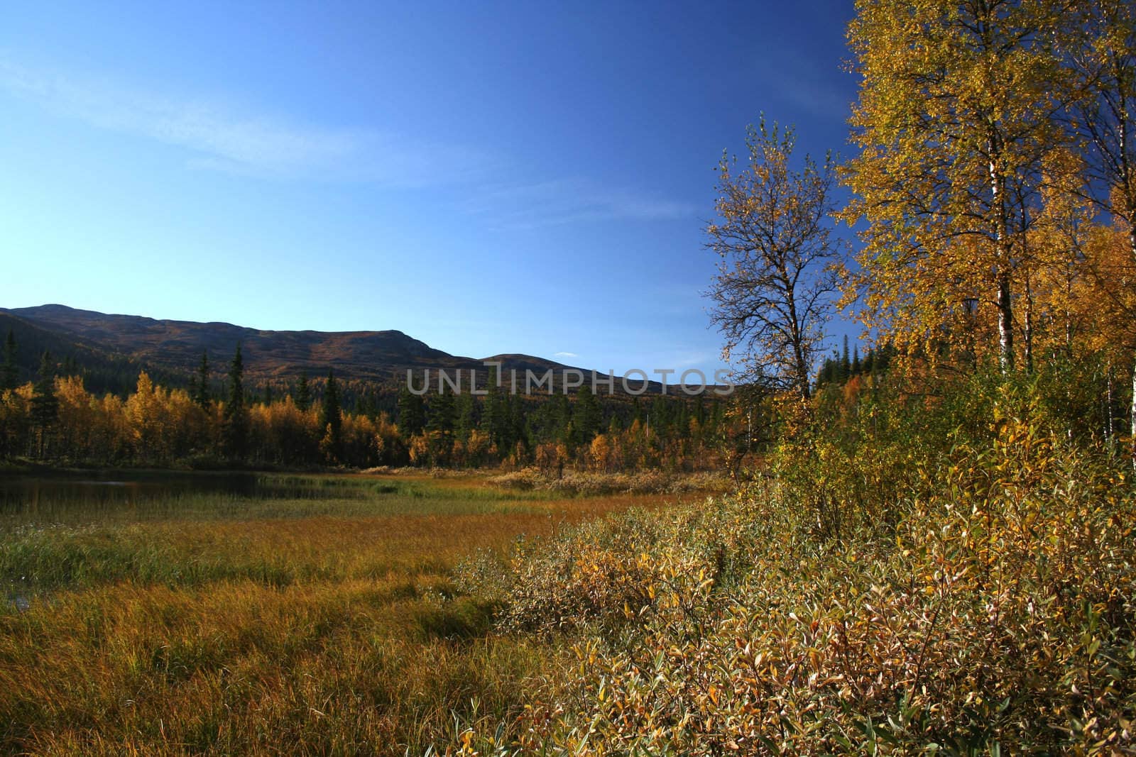 Beautiful autumn landscape in mountain