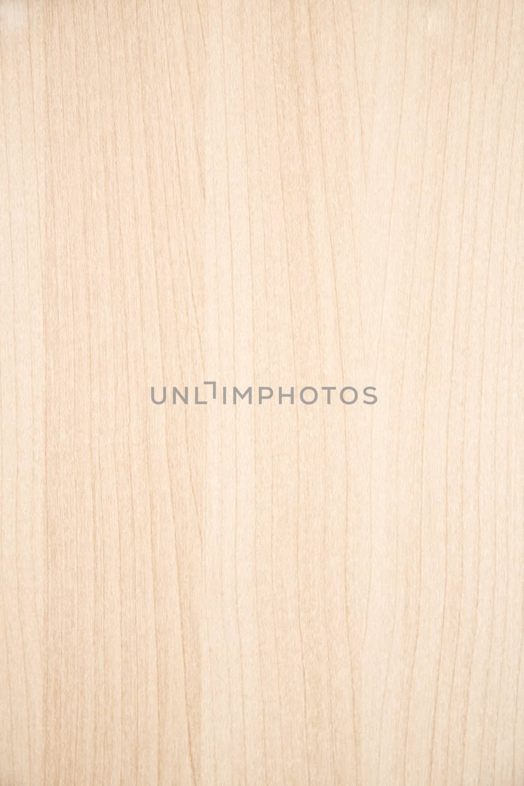 Texture of wood background closeup