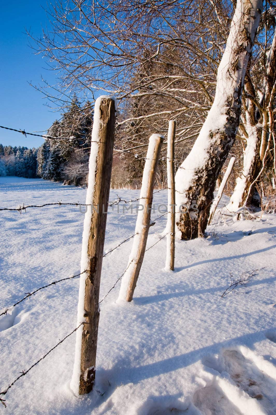 Rural winter scene
