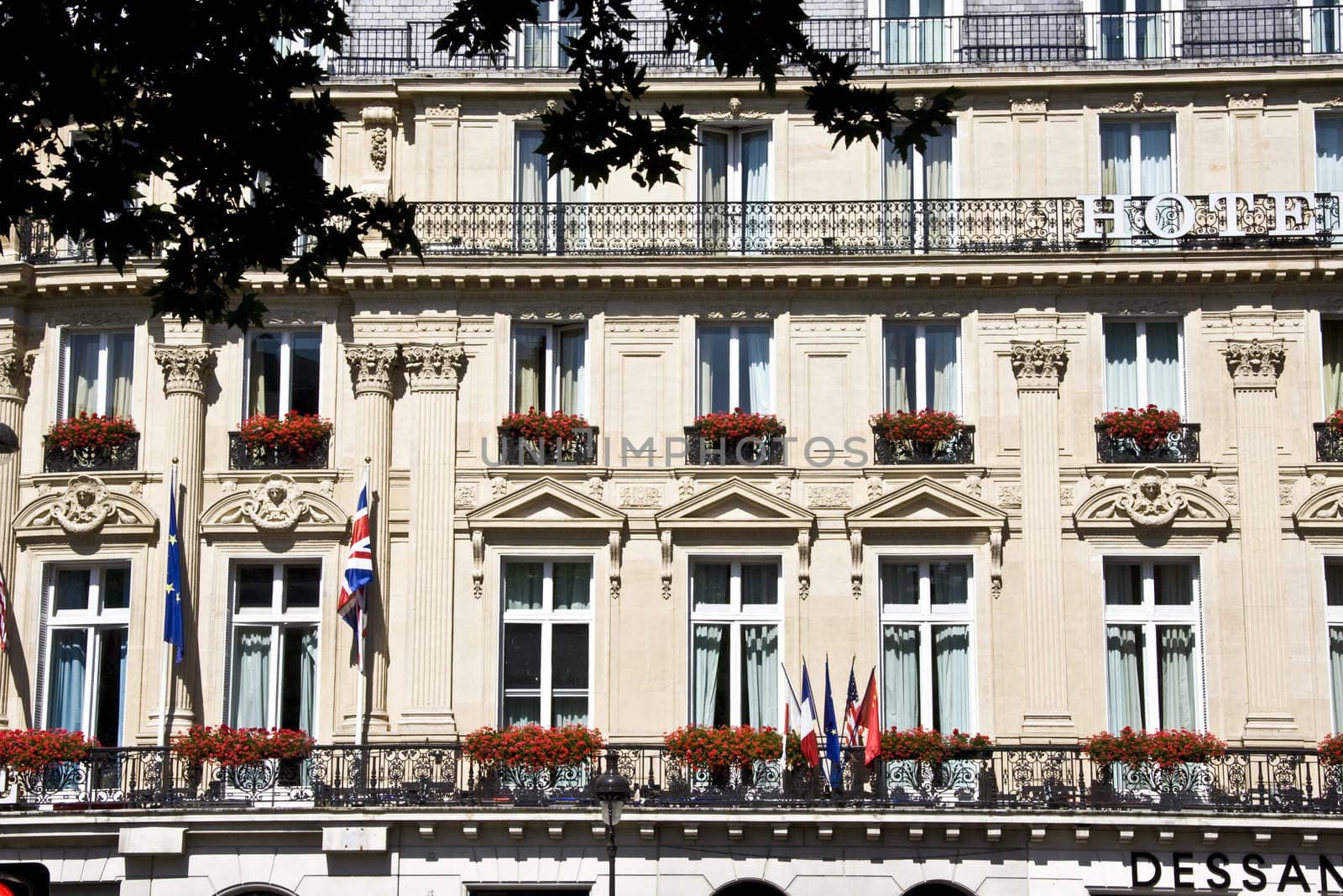 Apartments with beautiful flowers in balcony closeup in Paris