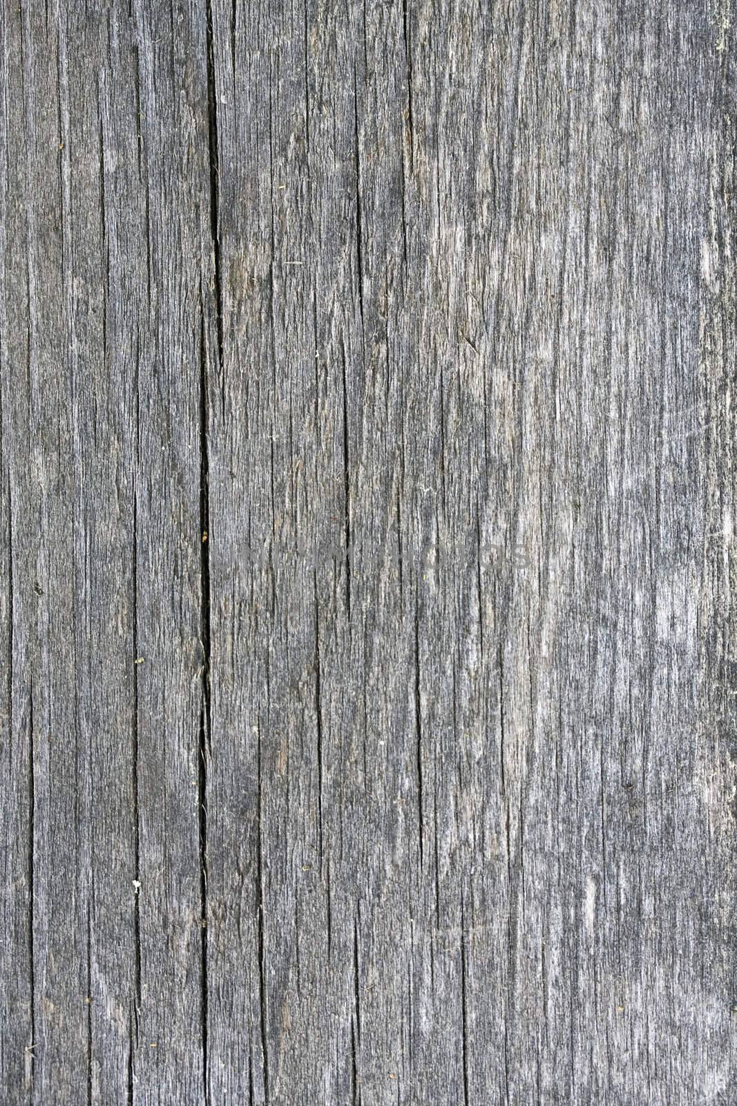 Texture of nature fence weathered wood background 
