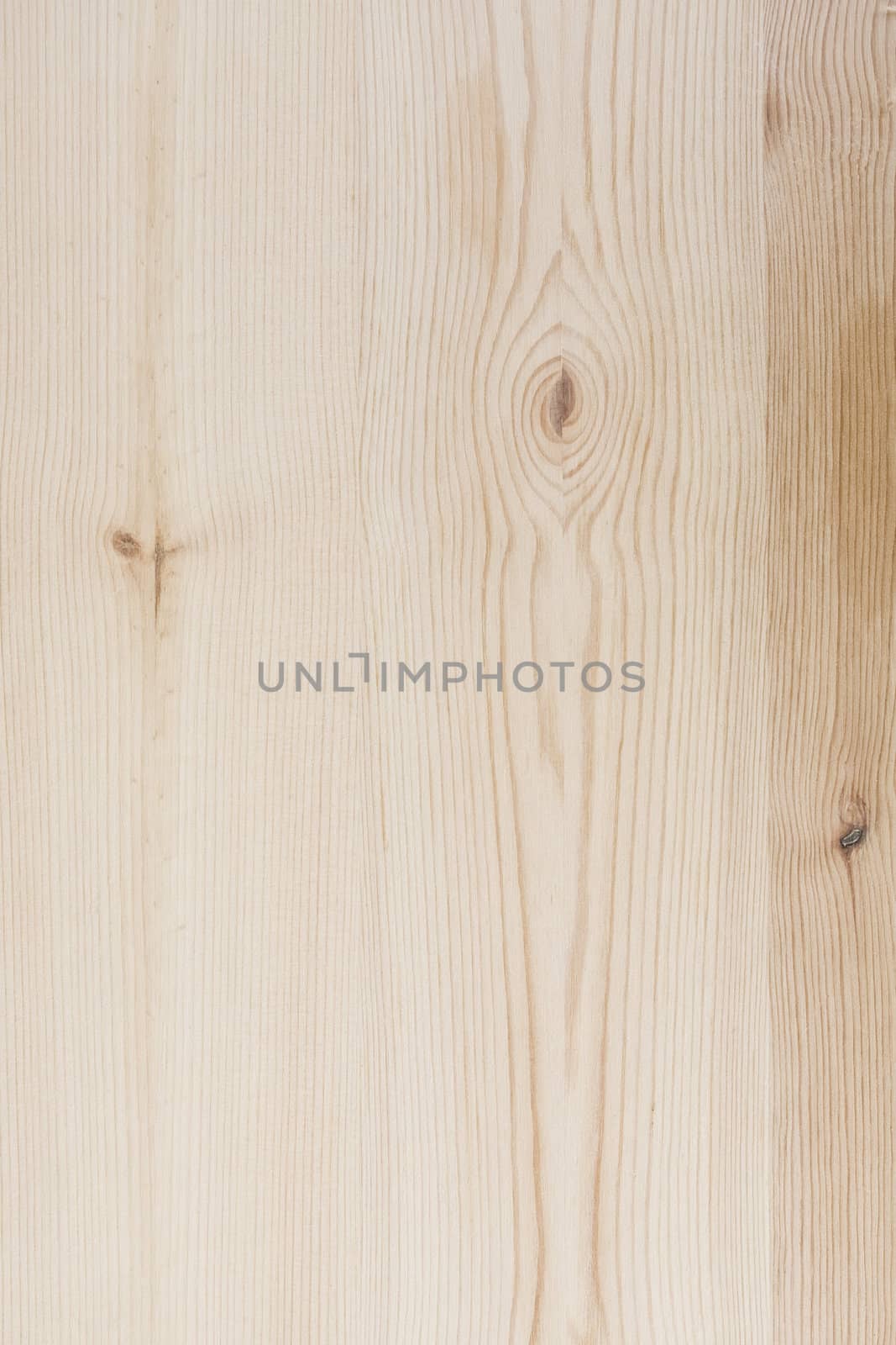 Texture of wood background closeup