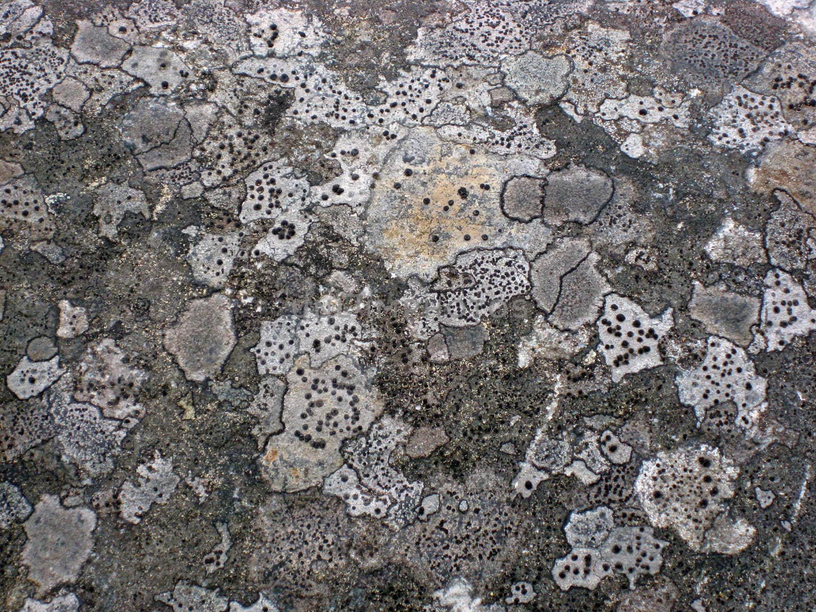 Texture of nature stone background closeup