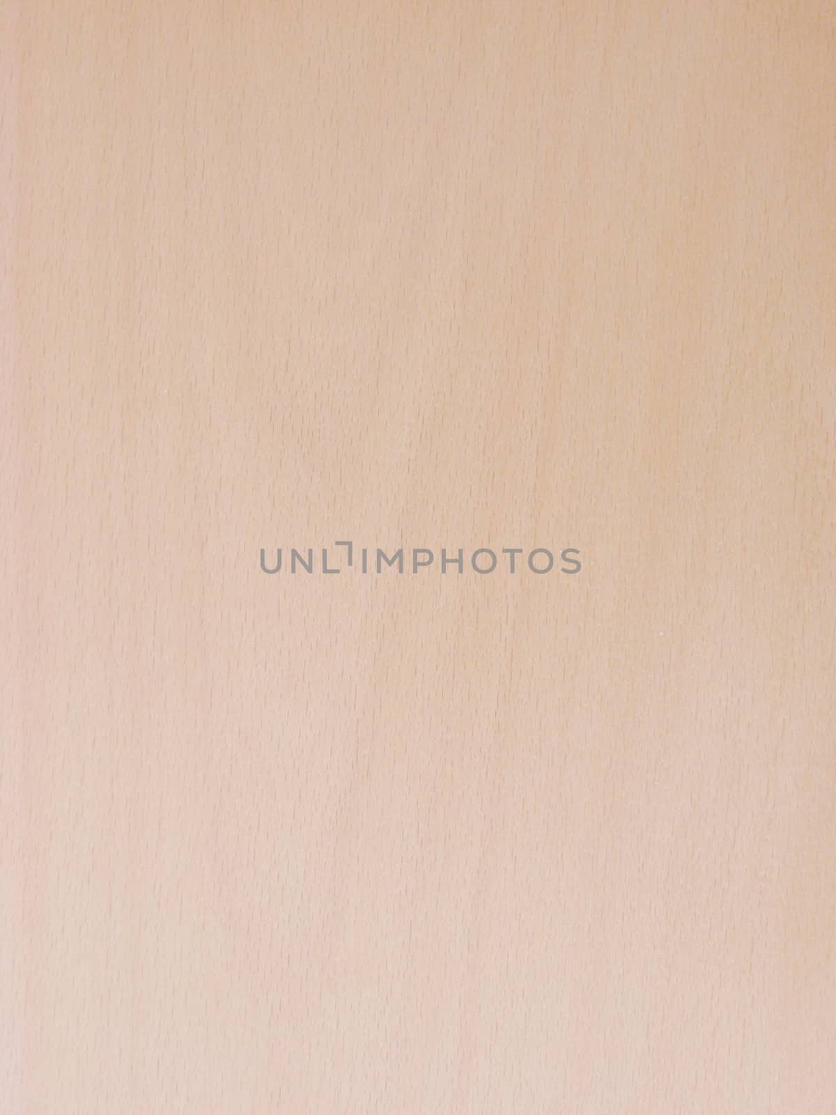 Texture of wood background closeup 
