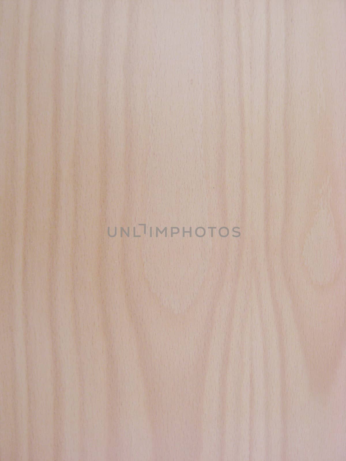 Texture of wood background closeup 
