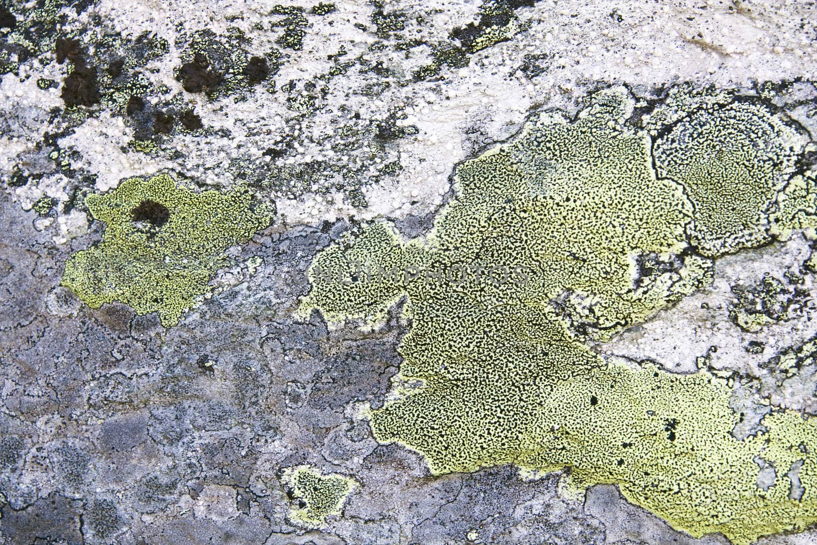Texture of nature stone background closeup