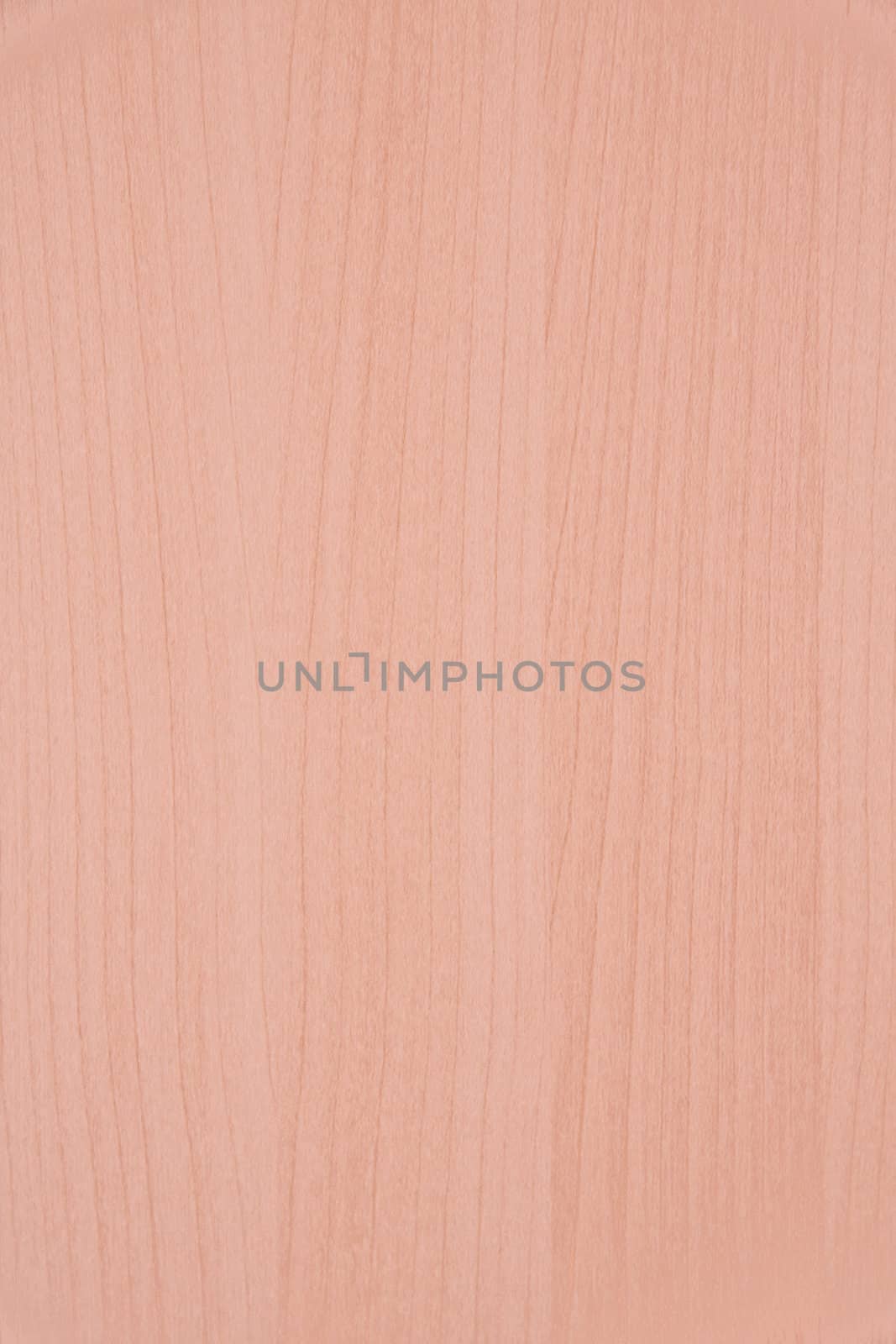 Texture of wood background closeup 
