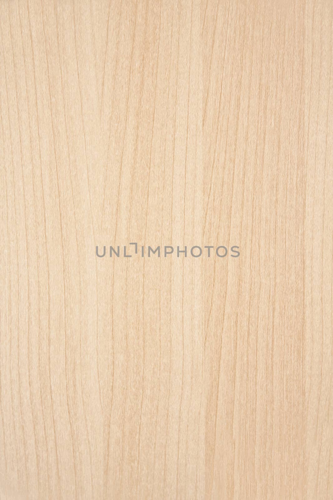 Texture of wood background closeup 
