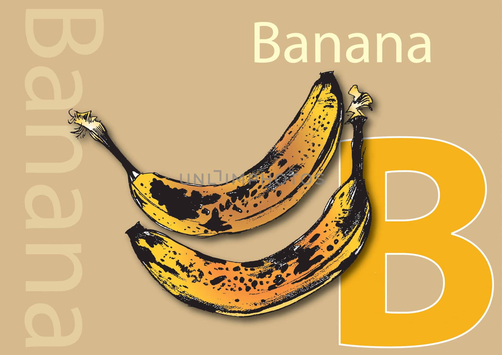 A landscape format poster with the word Banana and its initial, along with an accompanying illustration of banana's. Useful as a learning tool for schools.