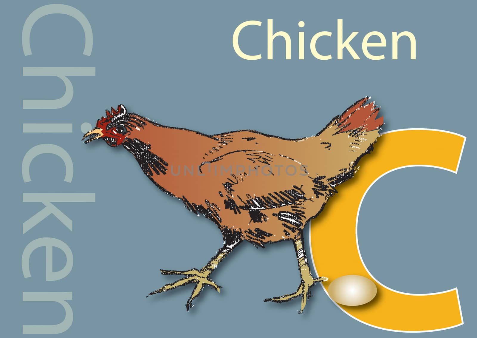 A landscape format poster with the word Chicken and its initial, along with an accompanying illustration of a brown chicken and egg. Useful as a learning tool for schools.