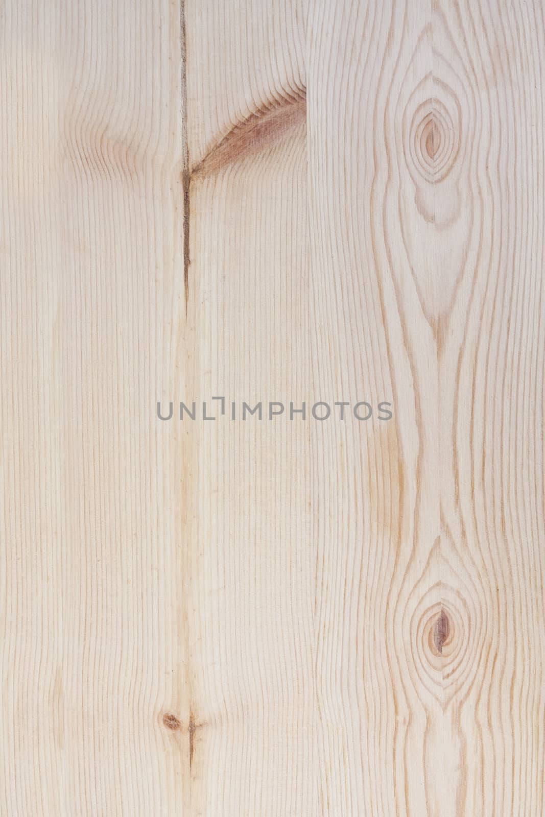 Texture of wood background closeup 