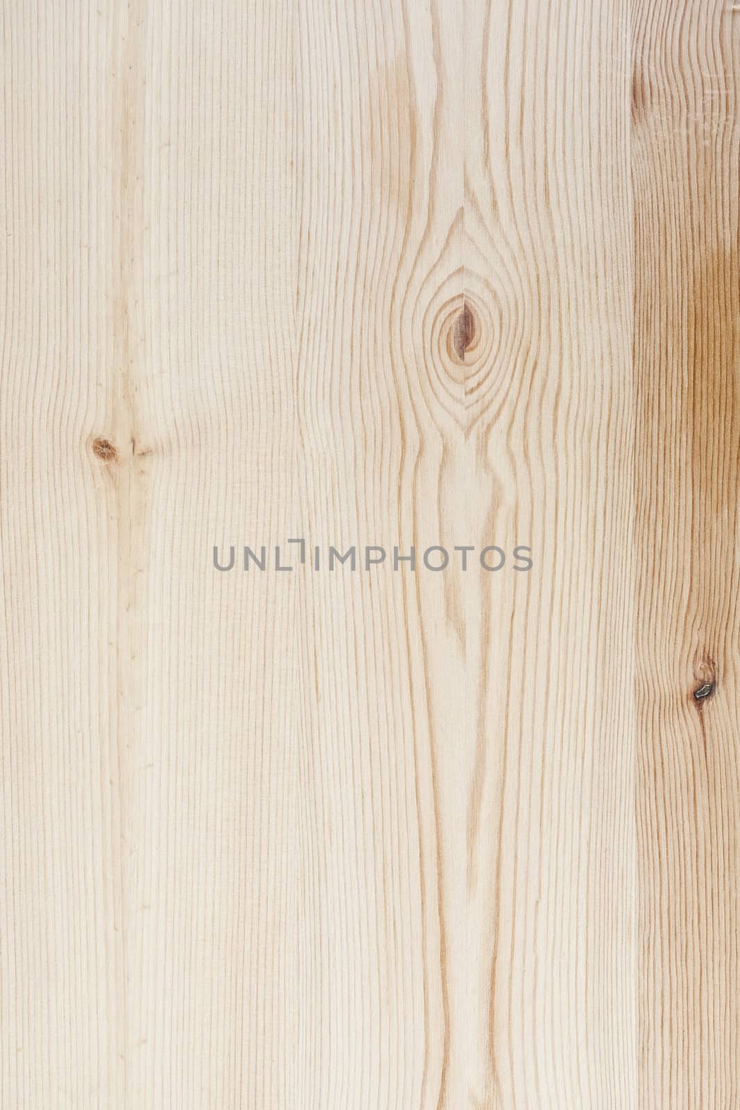 Texture of wood background closeup 