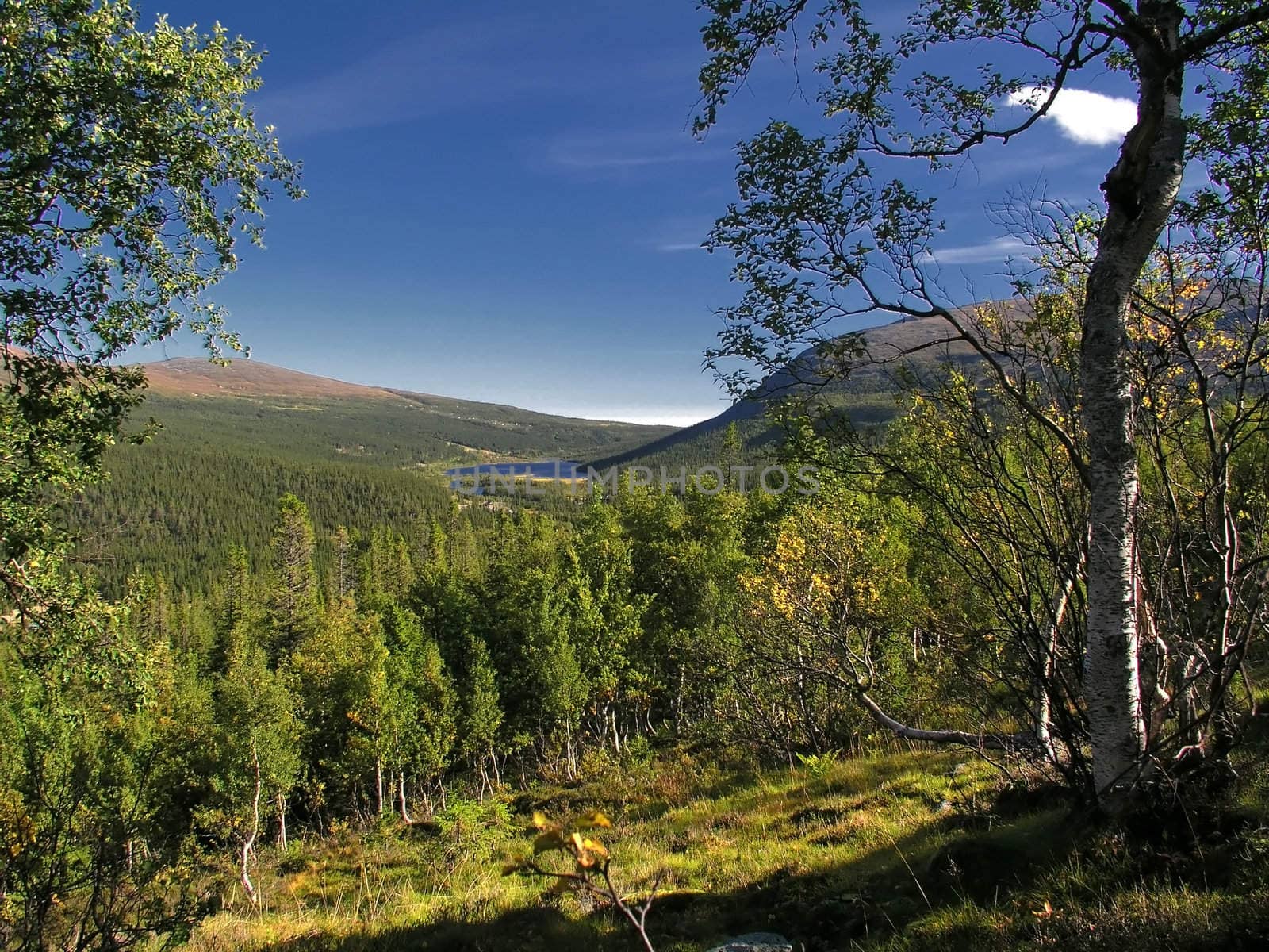 Beautiful mountain landscape with blue sky