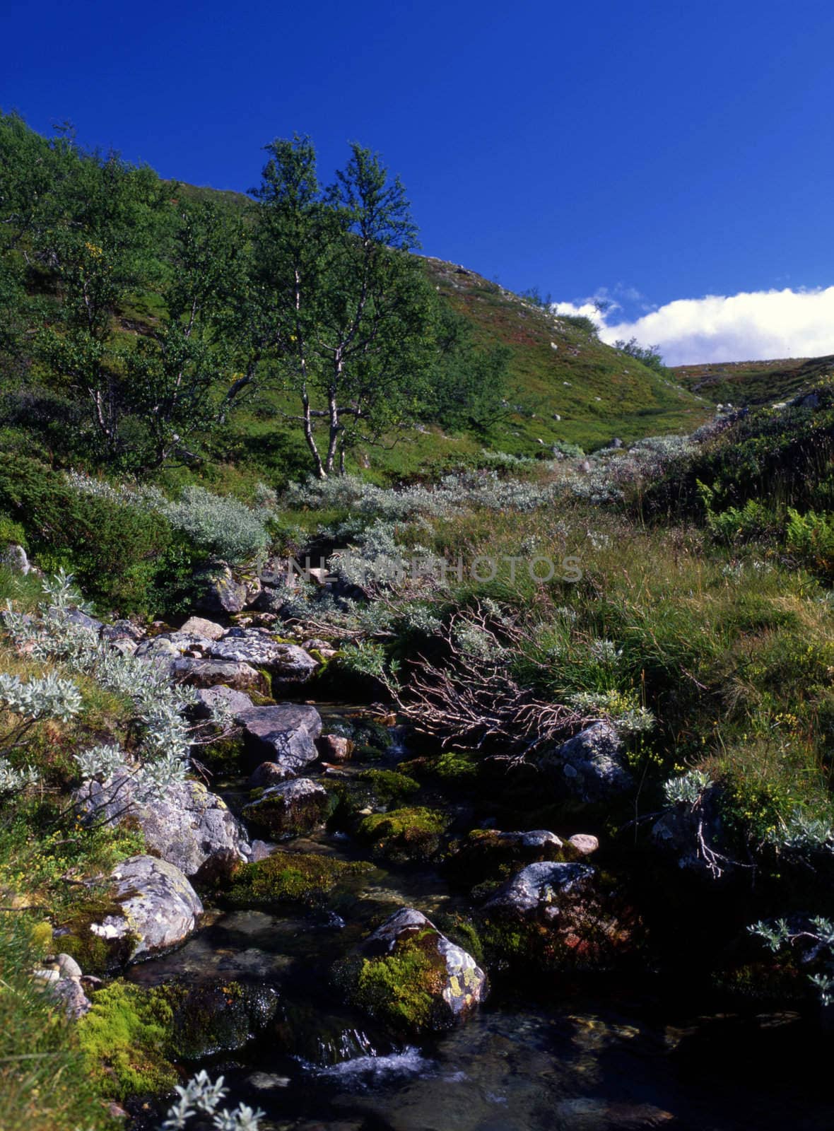 Beautiful wild landscape of mountain