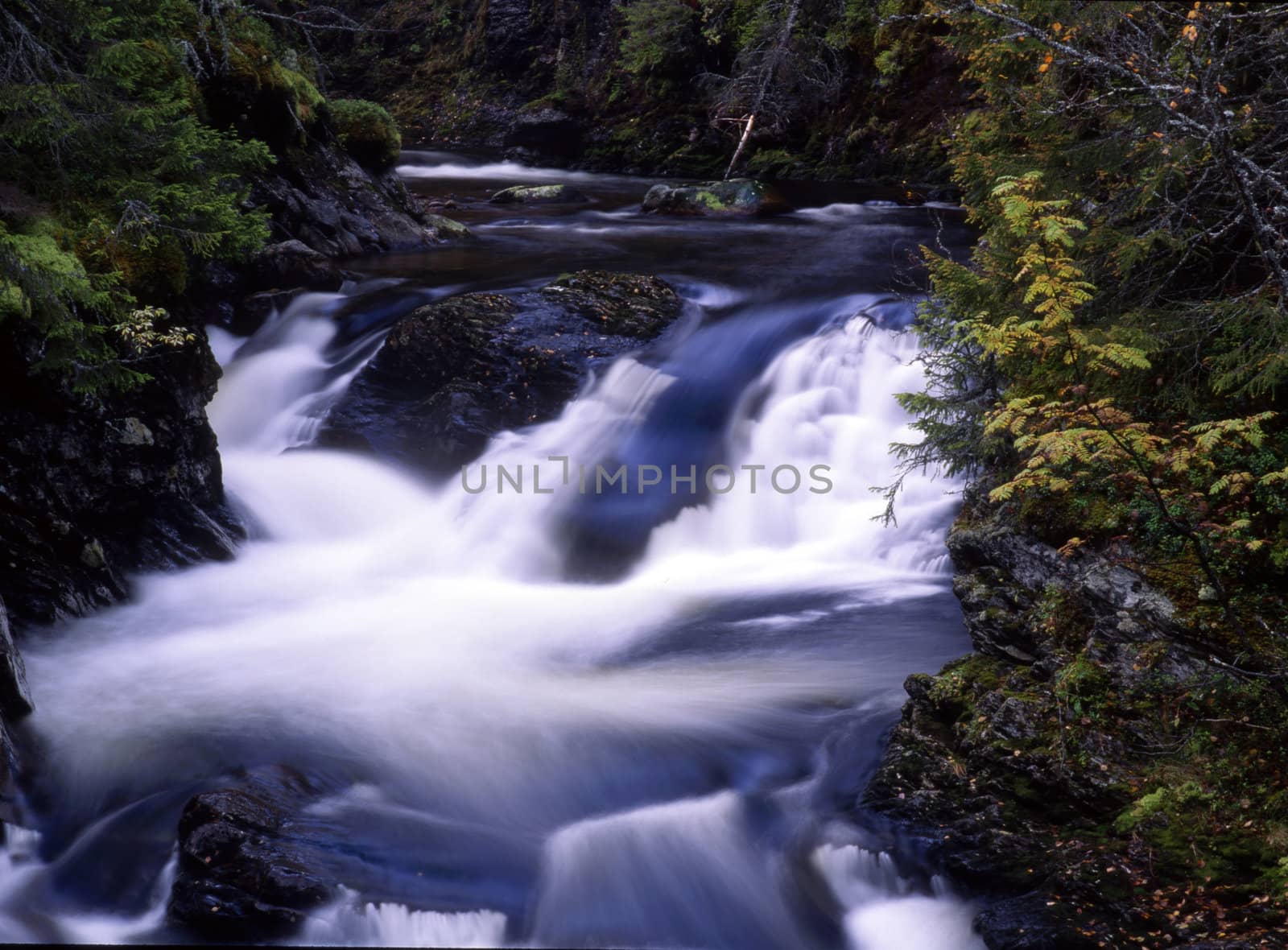 Flowing water of beautiful mountain stream