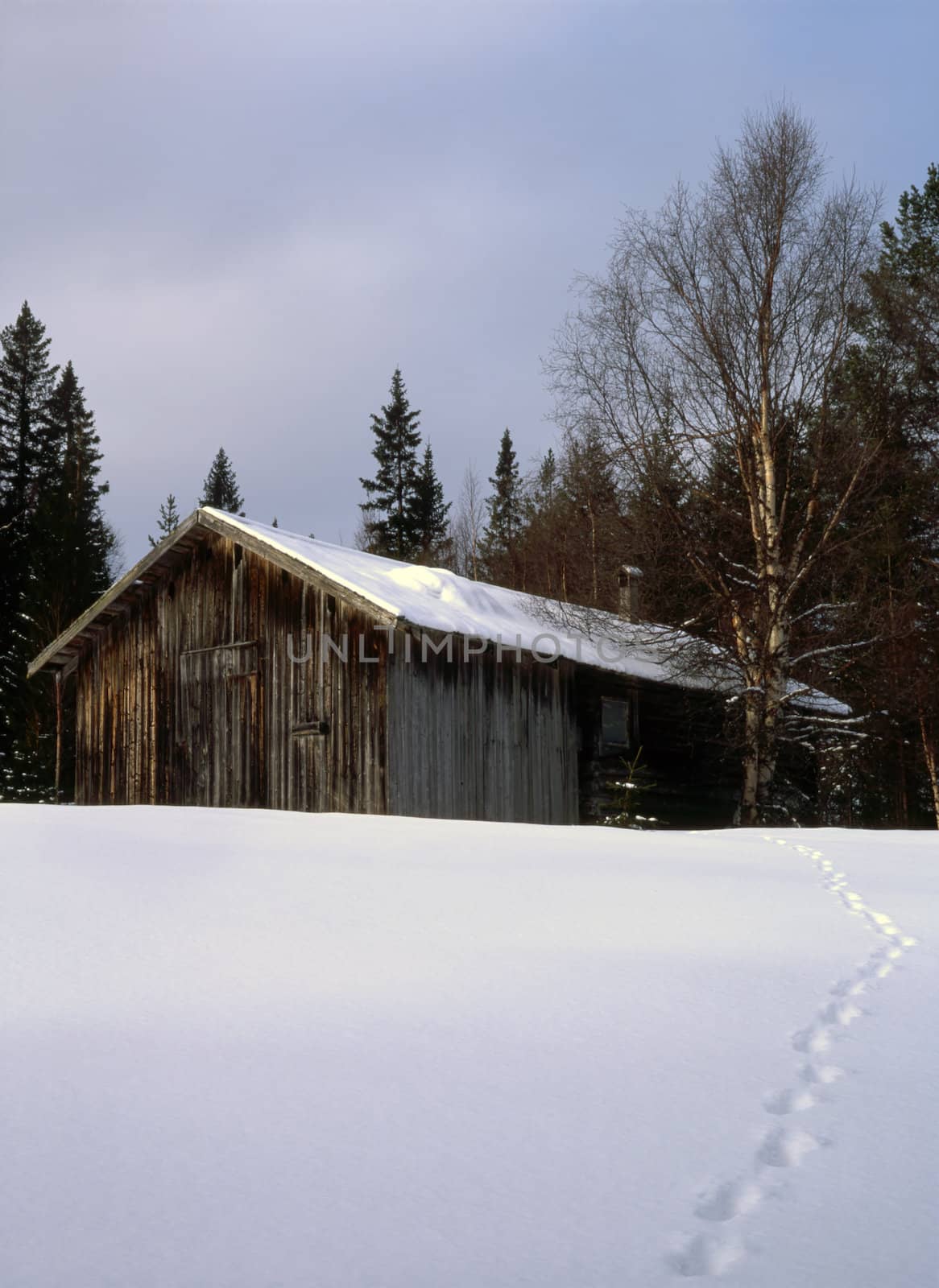 An old farmhouse in snowy landscape