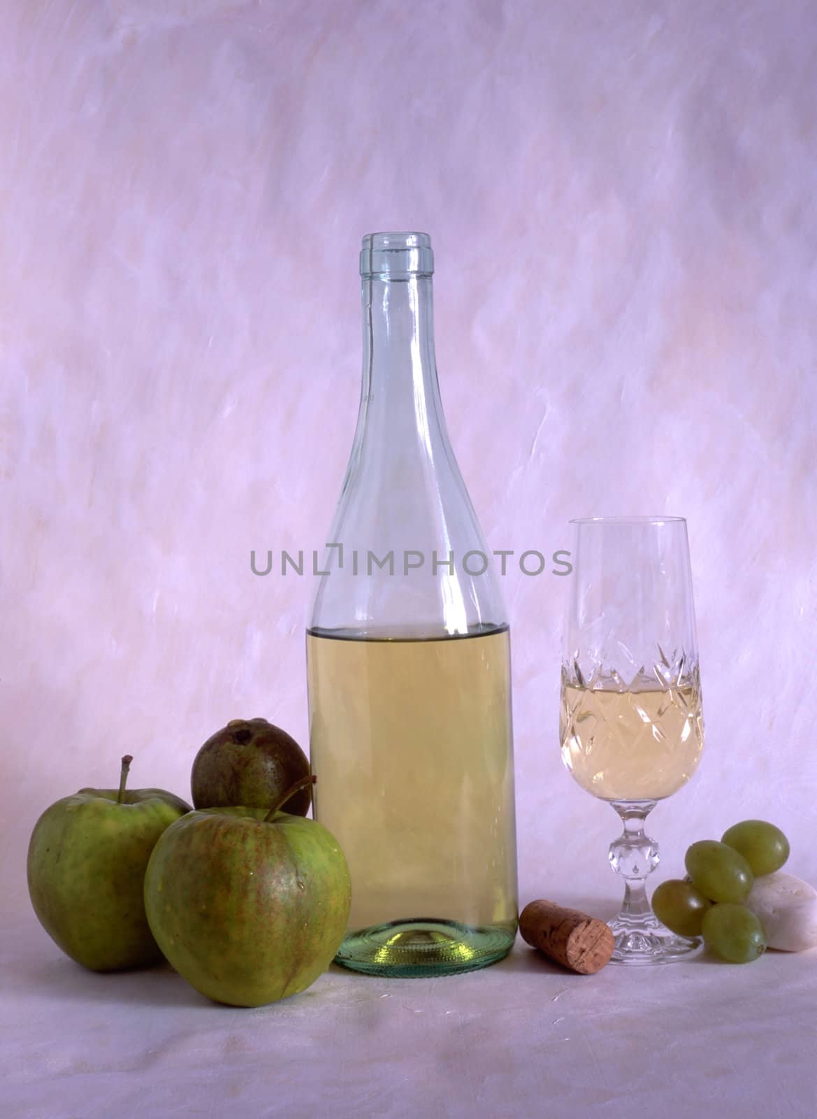 White wine and fruits isolated on painted background