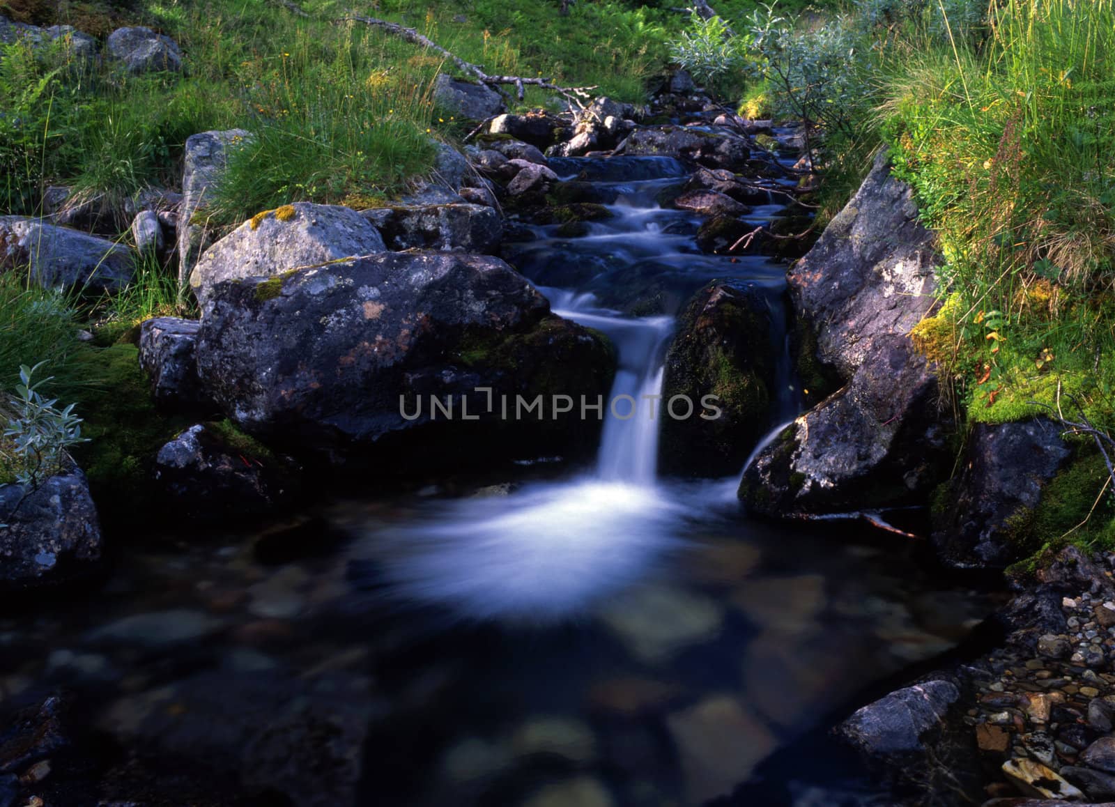 Beautiful wild landscape of mountain stream