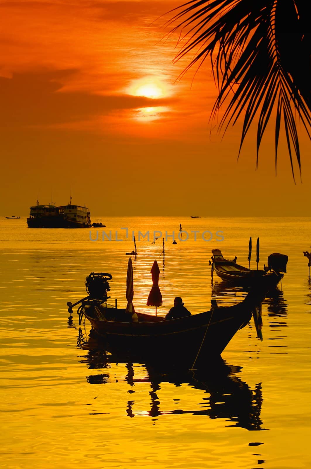 Sunset with palm and boats on tropical beach by johnnychaos