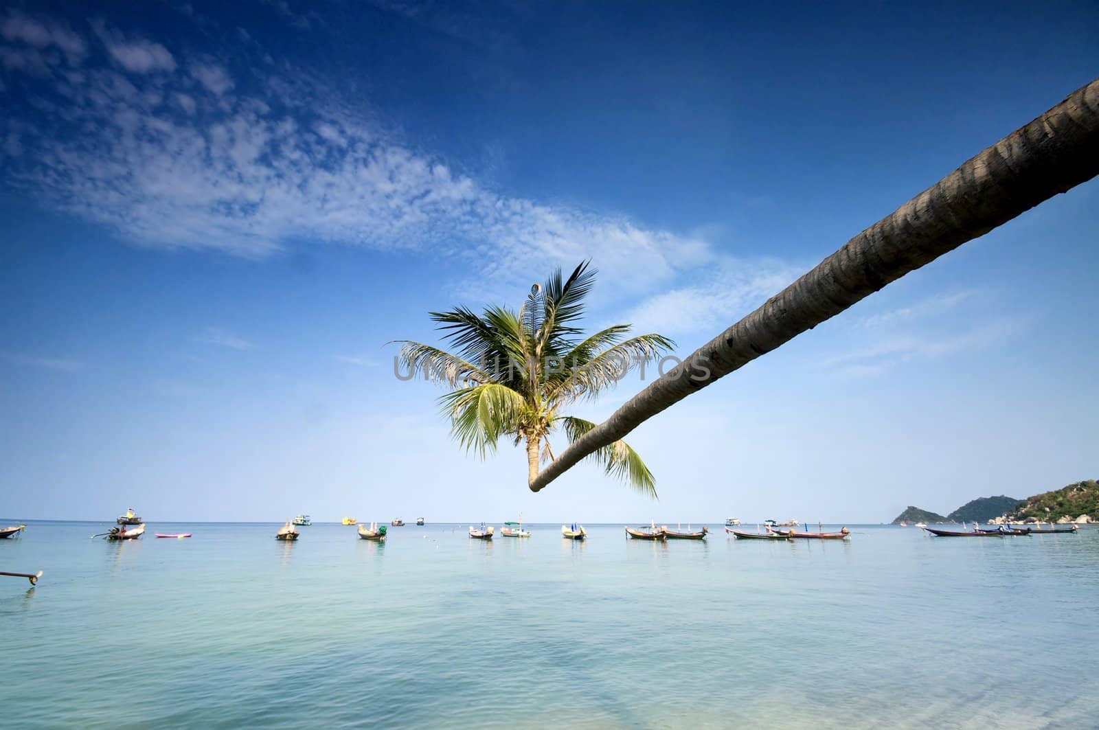 palm and boats on tropical beach by johnnychaos