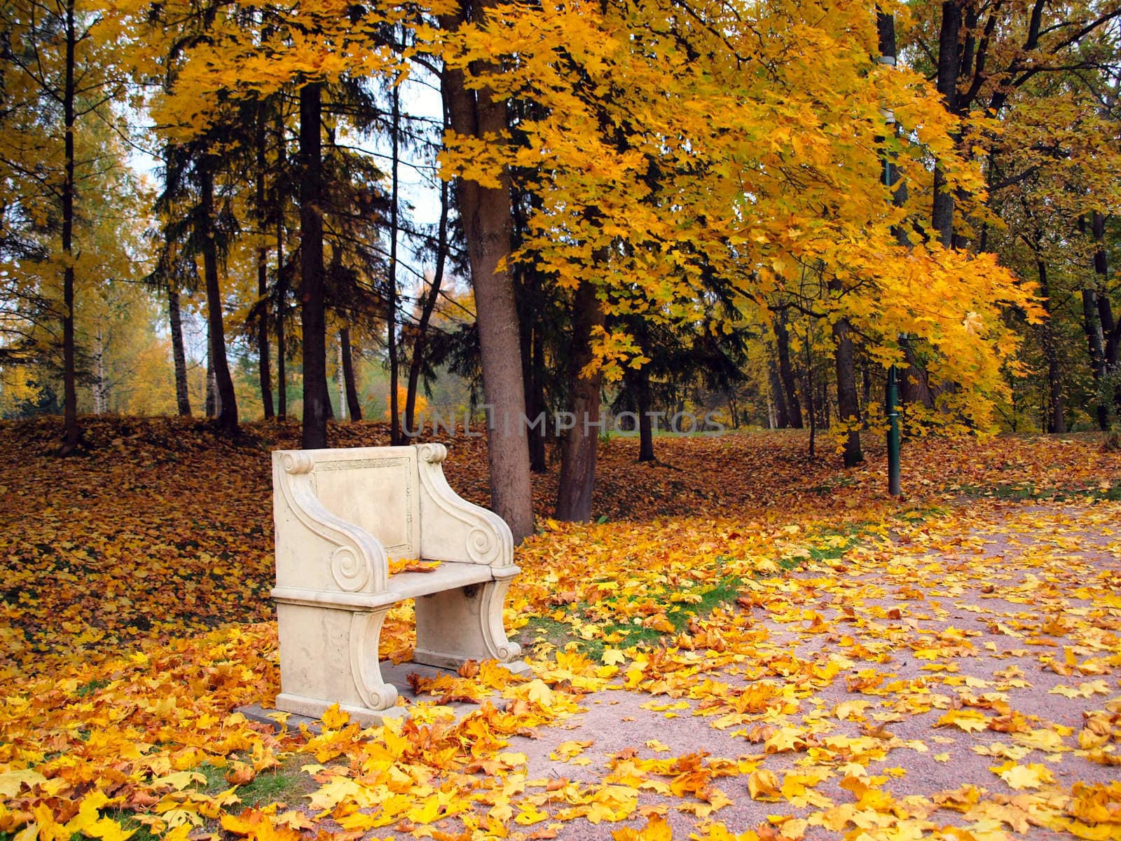 Empty ancient stone bench in autumn park