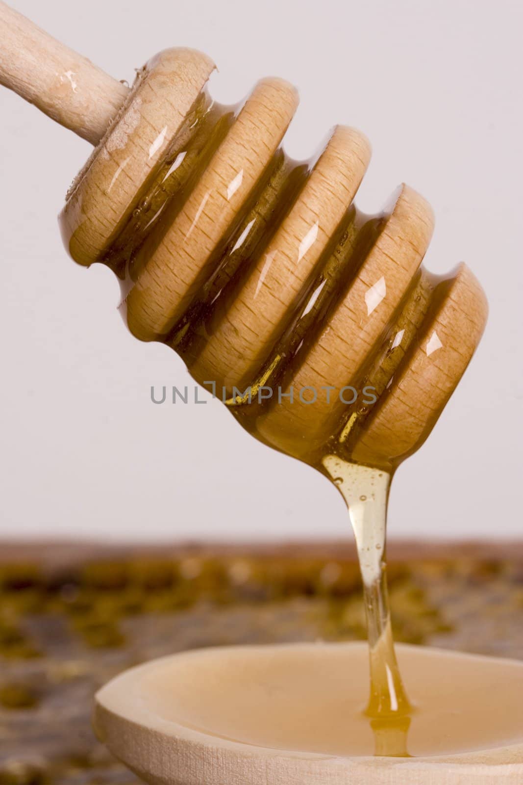 Beautiful yellow patch of healthy and tasty honey