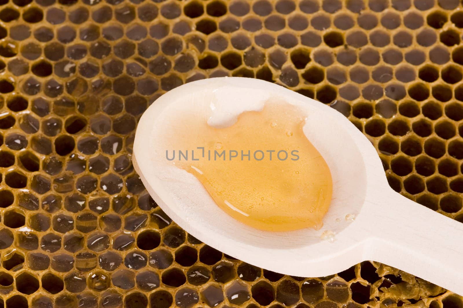 Beautiful yellow patch of healthy and tasty honey