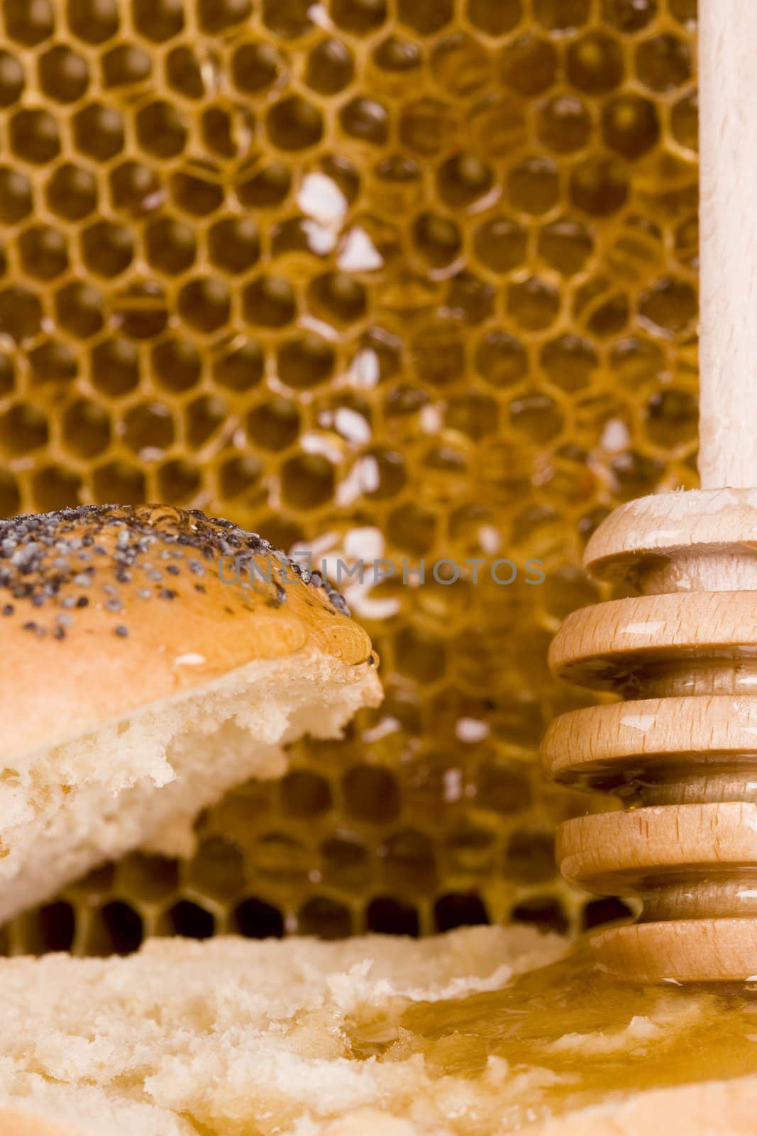 Beautiful yellow patch of healthy and tasty honey