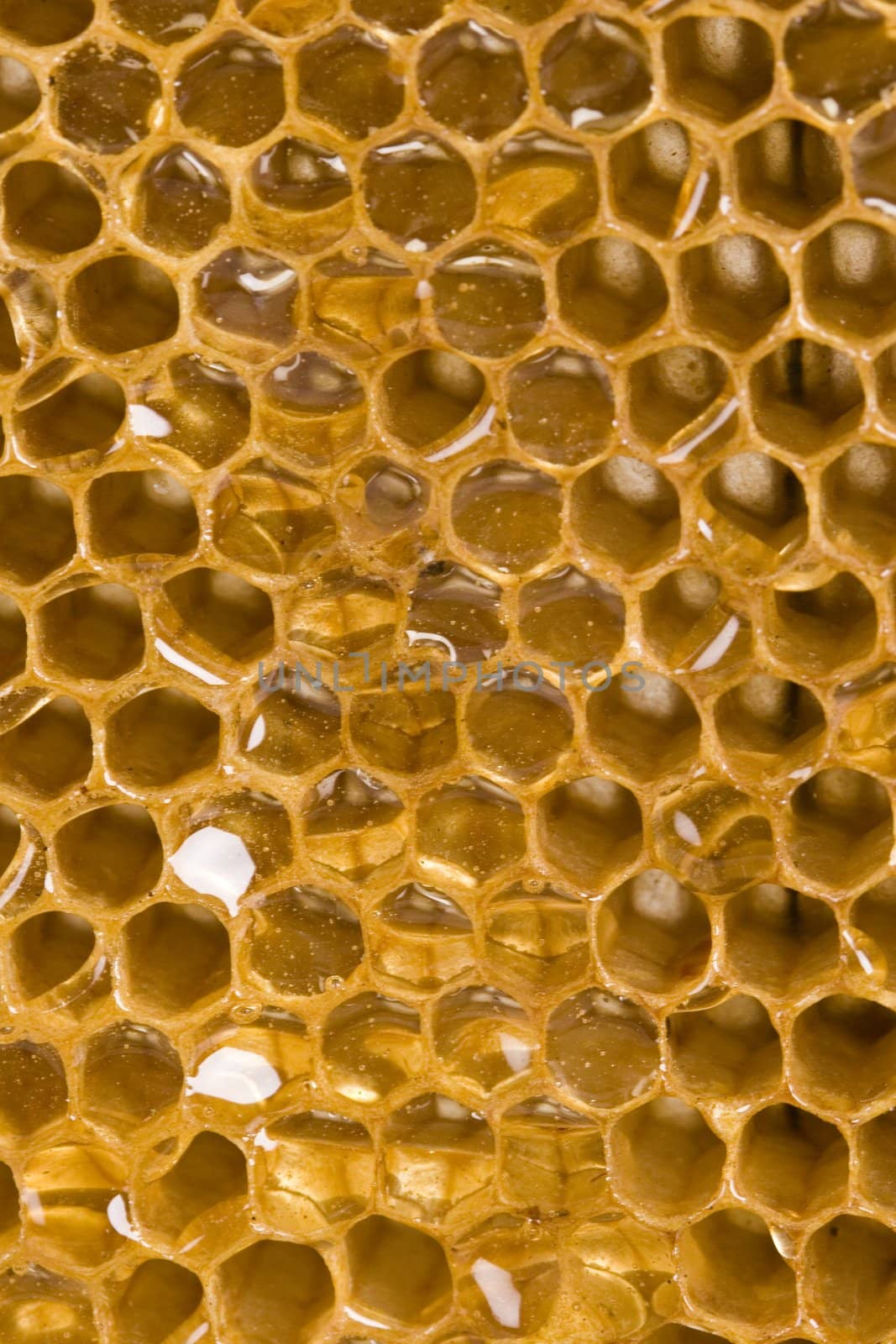 Tasty honey by shiffti