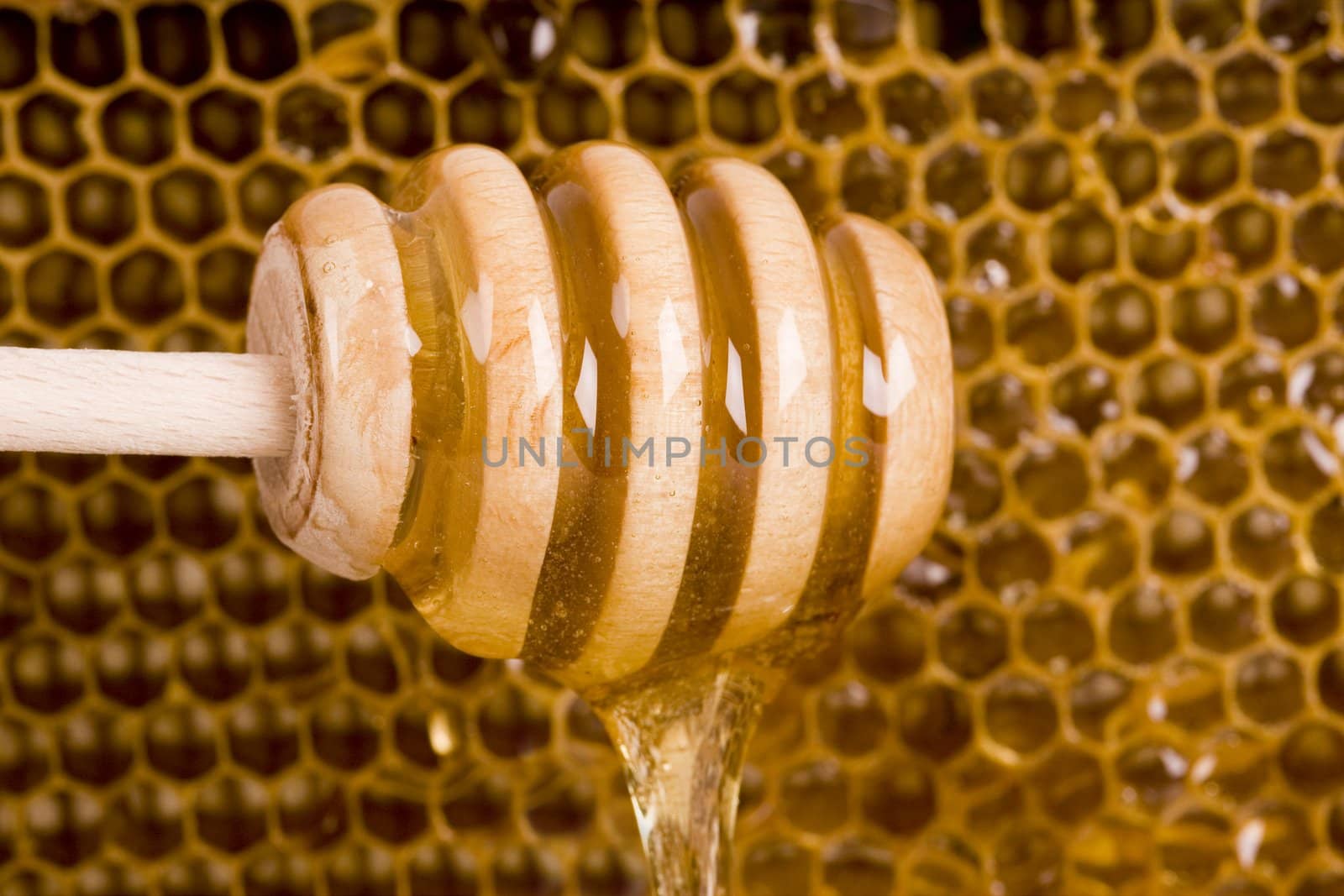 Beautiful yellow patch of  honey